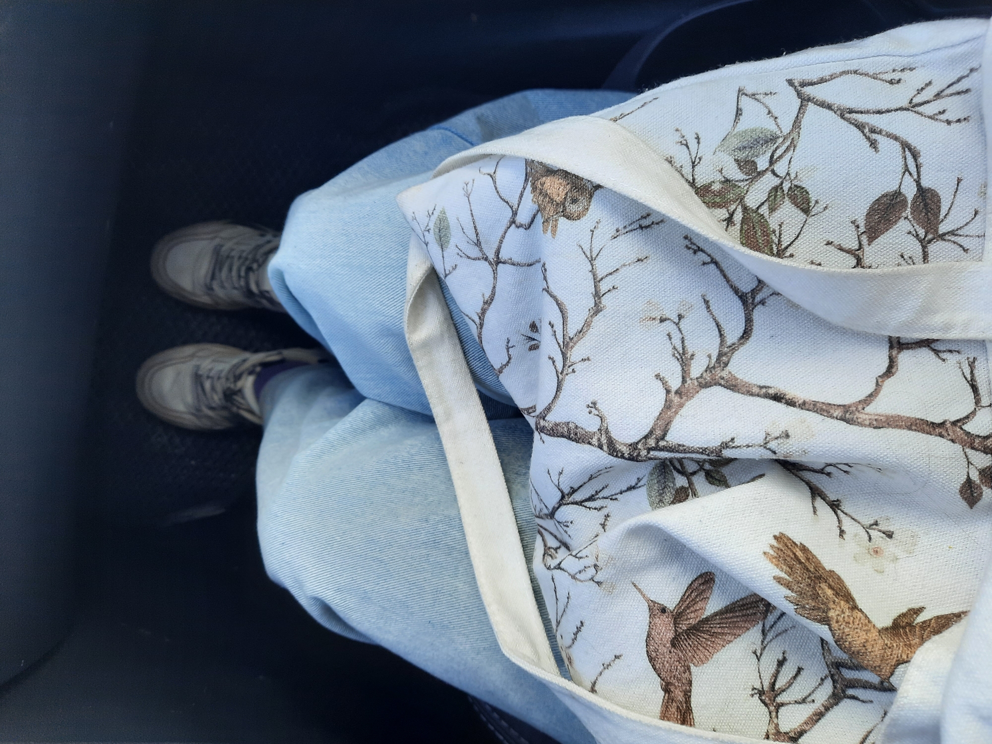 A photograph shows a person sitting in what appears to be a vehicle, with a view focused downwards from their perspective. The person is wearing light blue jeans and grey running shoes. A white tote bag with a printed design of brown branches, leaves, and birds (possibly hummingbirds) rests on the person's lap. The interior of the vehicle appears dark, possibly black. The location cannot be determined from the provided image. The location of Krasnogorskoye, Russia, is not evident in the image.