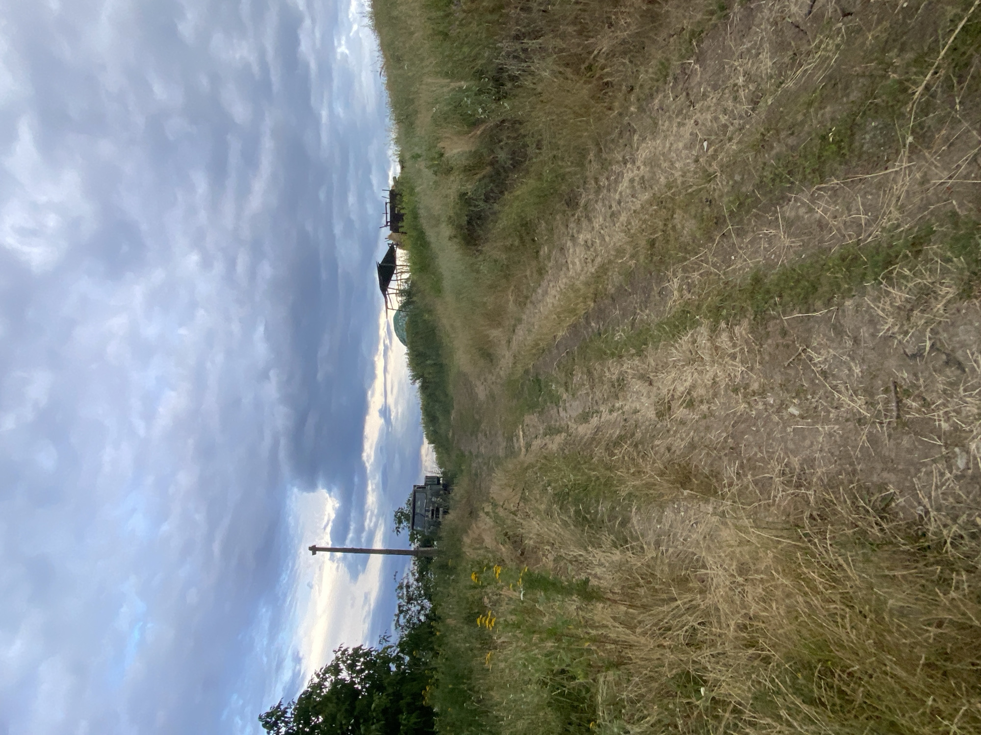 The image depicts a dirt road leading uphill through dry, tall grass and vegetation. The sky above is overcast with dramatic clouds. In the distance, on the right side of the road, there are structures including a shed or canopy and what appears to be a piece of machinery or abandoned vehicle. On the left side of the road, near the bottom of the frame, a single wooden pole stands vertically. Further up the left side, obscured by trees and grass, is a weathered, dark-colored vehicle, possibly a truck. The overall impression is of a rural, somewhat neglected landscape under a brooding sky. The location is identified as Horodca, Moldova.