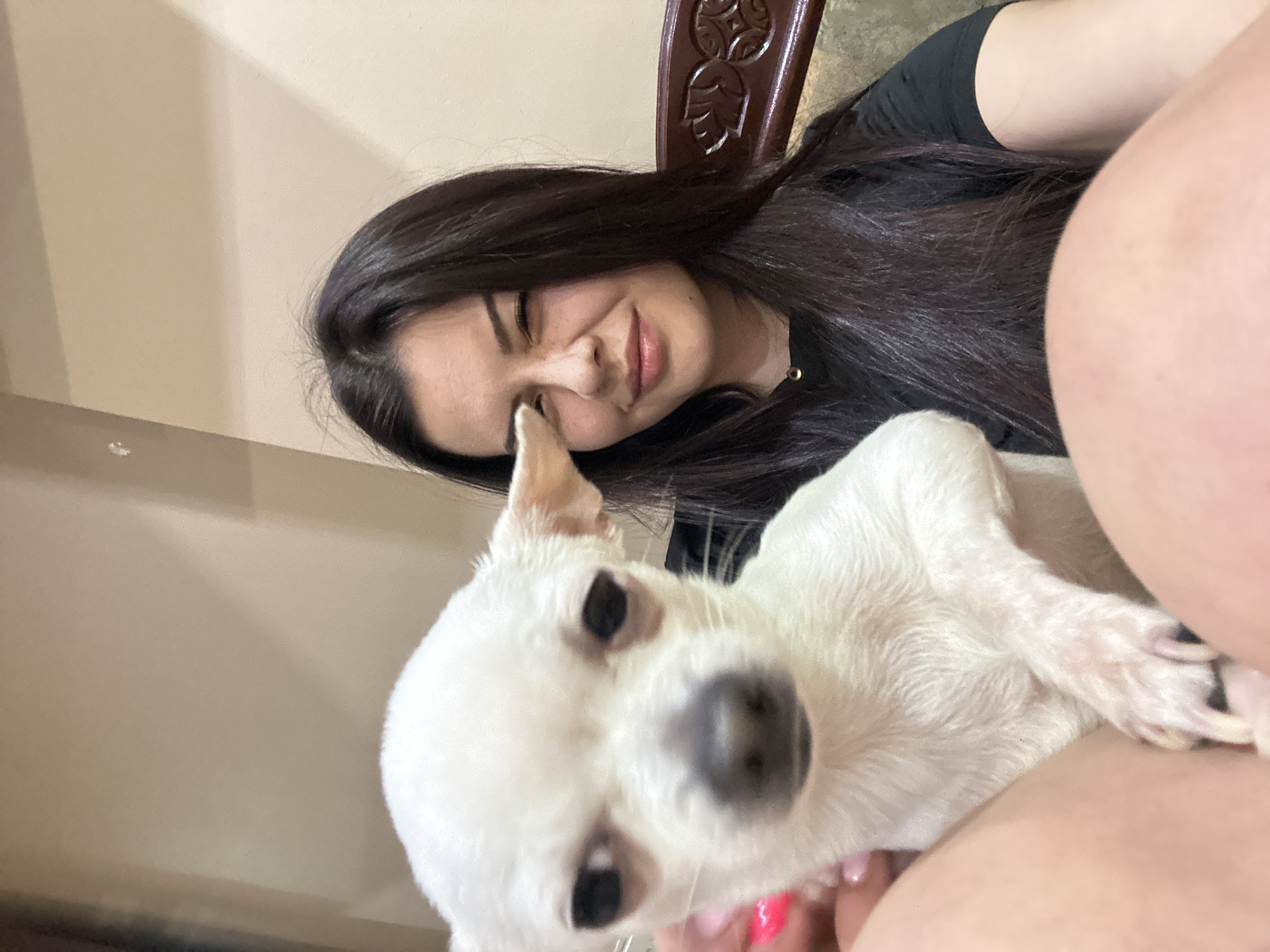 A woman with long, dark hair and a black top is smiling and looking at the camera. She is holding a white Chihuahua dog. The background appears to be an interior space, with light-colored walls. The location, Sliven, Bulgaria, cannot be determined from the image.