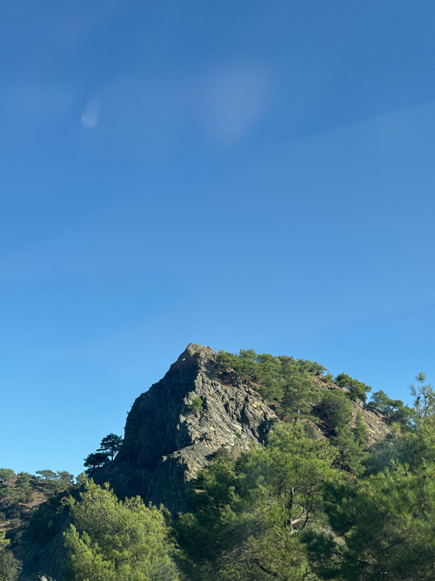 The image shows a rocky, tree-covered mountainside against a clear blue sky. The peak of the mountain is prominent in the center of the frame, with trees growing on its slopes and summit. The foliage consists mainly of evergreen trees, with varying shades of green. The terrain appears rugged and natural, with visible rock formations. There are no people or man-made structures visible in the image. The overall impression is one of a natural landscape in Cyprus, specifically in the area of Moutoullas.