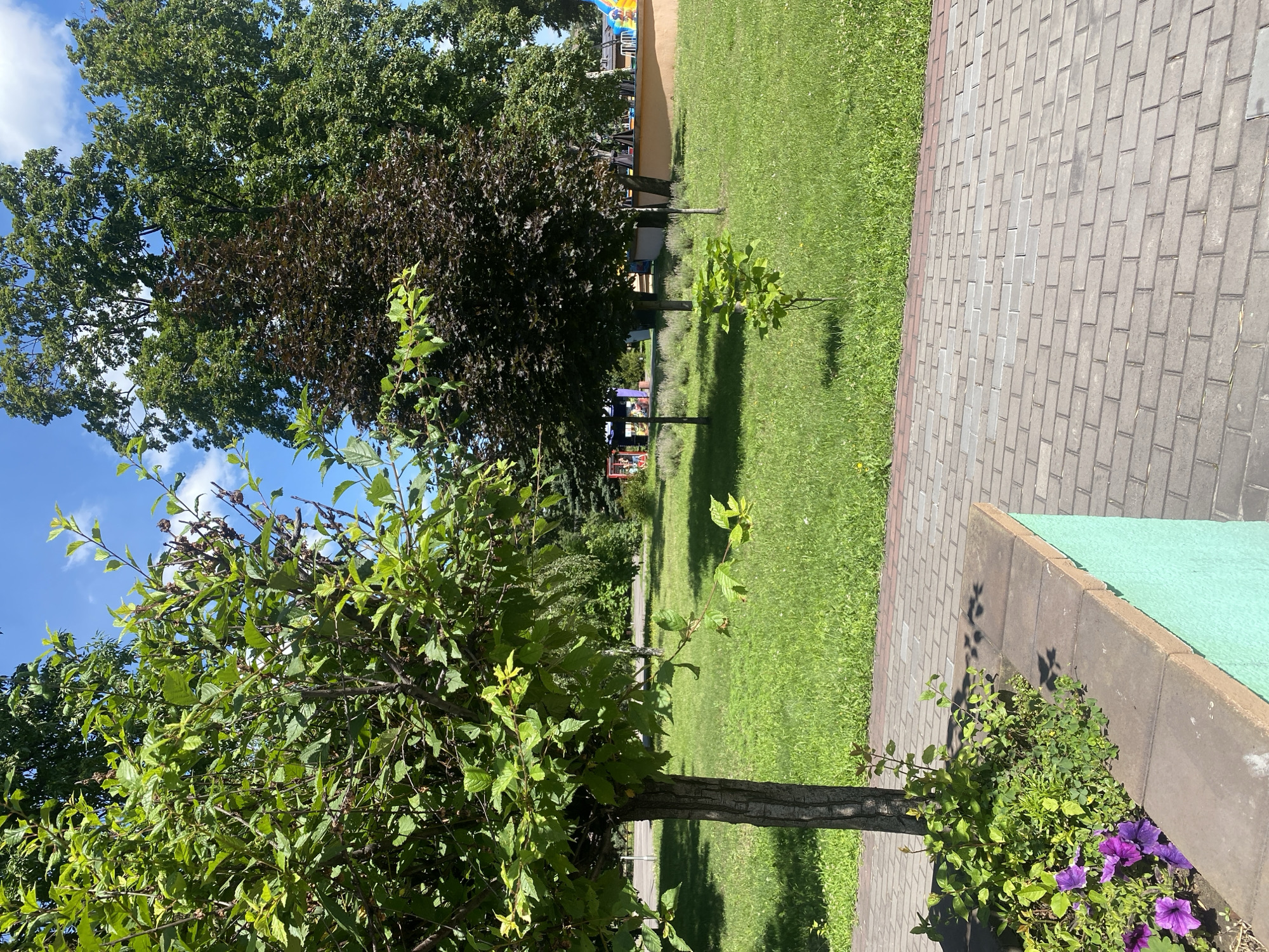 The image depicts a well-maintained park area with lush green grass, mature trees, and a paved pathway in the foreground. A light-colored brick pathway runs diagonally from the bottom right of the frame towards the left, bordered by a planter box with vibrant purple flowers and green foliage. Beyond the pathway, a grassy expanse is dotted with several trees, including a prominent deciduous tree with dark reddish-purple leaves in the middle ground and larger trees with green foliage in the background. The sky above is blue with scattered white clouds. The presence of playground equipment, including colorful structures and what appears to be an inflatable slide, suggests this is a public park, likely a children's play area within the city of Kamianske, Ukraine. The scene is bathed in bright daylight, casting shadows on the grass and pathway. There are no people visible in the image.