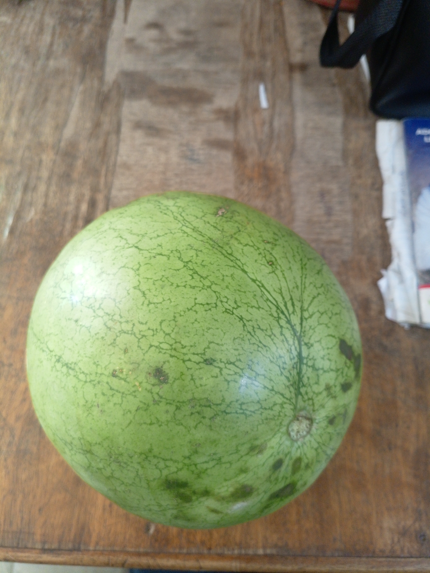The image shows a whole, unripe watermelon resting on a wooden surface. The watermelon is predominantly green with darker green stripes and some small brown spots and blemishes on its rind. The wooden surface appears to be a tabletop, with a visible grain pattern and some wear. In the background, out of focus, is a black bag or backpack and some papers, one of which has blue and white text. The lighting suggests it is daytime, possibly indoors with natural light. There is no discernible activity taking place, and the image captures a still life of the watermelon. The location context is Bukuru, Nigeria. No specific emotions are conveyed.