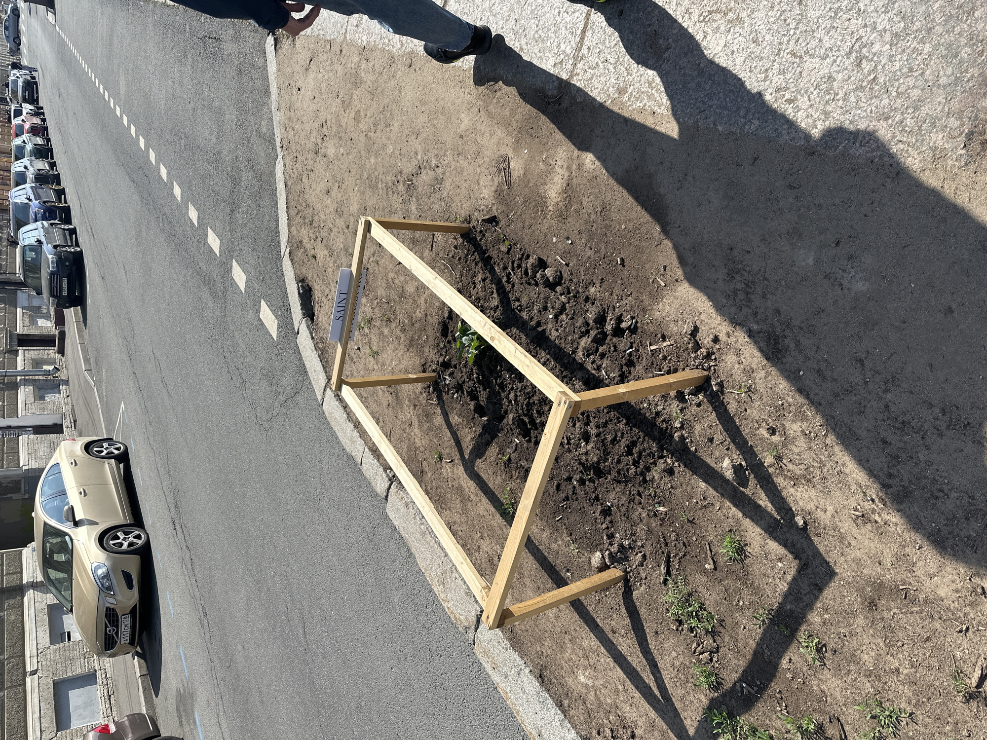 The image shows a newly planted tree in Saint Petersburg, Russia, protected by a wooden frame. A small white sign with the text "SAINT PETERSBURG" is attached to one side of the frame. The tree is planted in a patch of soil near the curb of a street, which shows dashed lane markings. A beige car is parked on the street beside the curb. Several other cars are parked further down the street. The shadow of an individual wearing jeans and dark shoes falls on the sidewalk next to the tree.