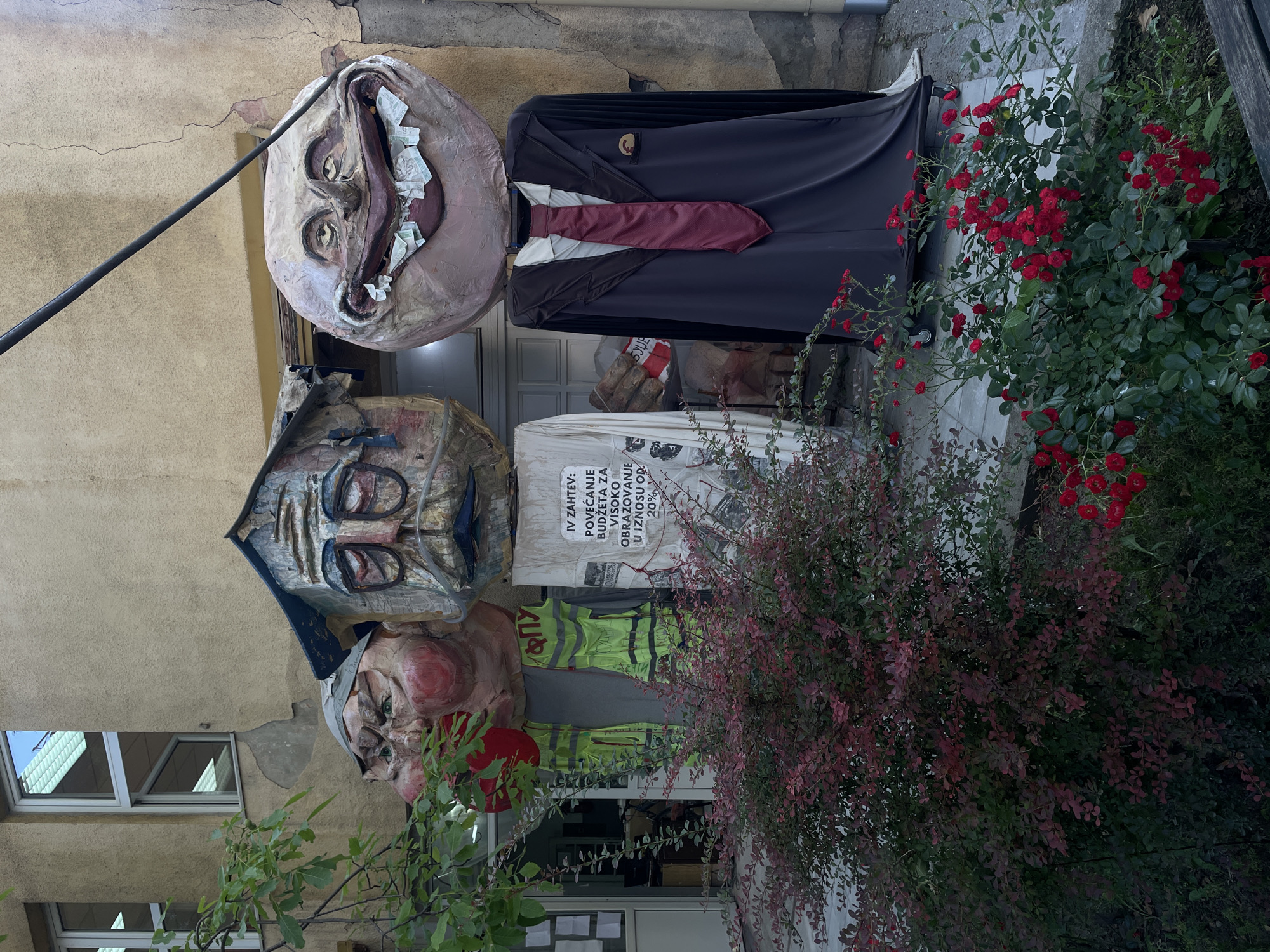 The image displays a satirical outdoor art installation or protest display, featuring several large, grotesque effigies set against the cracked, light-colored wall of an old building. The scene suggests a daytime setting with diffuse natural light.
The topmost figure, suspended from a black rod, consists of a large, spherical head with exaggerated features. Its wide, grinning mouth is stuffed with what appear to be banknotes, and its eyes are wide and manic. This head is mounted on a suit jacket, white shirt, and red tie, adorned with a small gold emblem on the lapel, caricaturing a figure of authority or wealth.
Below this, another large, blocky head, painted in blue and grey tones with prominent rectangular eyes, is visible. This effigy wears a yellow high-visibility vest. Behind it, a white banner is displayed, featuring text in Serbian. The visible text reads: "IV ZAHTEV: POVEĆANJE BUDŽETA ZA VISOKO OBRAZOVANJE U IZNOSU OD 20%" (IV REQUIREMENT: INCREASE THE BUDGET FOR HIGHER EDUCATION BY 20%). This clearly identifies the installation as a protest demanding increased funding for education.
Partially obscured by foliage at the bottom, a third, smaller effigy head with a rounded, jowly face, red cheeks, and small green eyes is visible, wearing what appears to be a cap.
The foreground and right side of the image are filled with lush greenery. A vibrant bush with numerous red roses stands prominently on the right, while a bush with reddish-purple leaves partially covers the lower figures. The building wall shows signs of age with cracks, and windows are visible in the background on the lower left. The overall scene, located in Belgrade, Serbia, communicates a strong message of political or social commentary, using exaggerated caricatures to criticize perceived issues with governance and public spending on education.