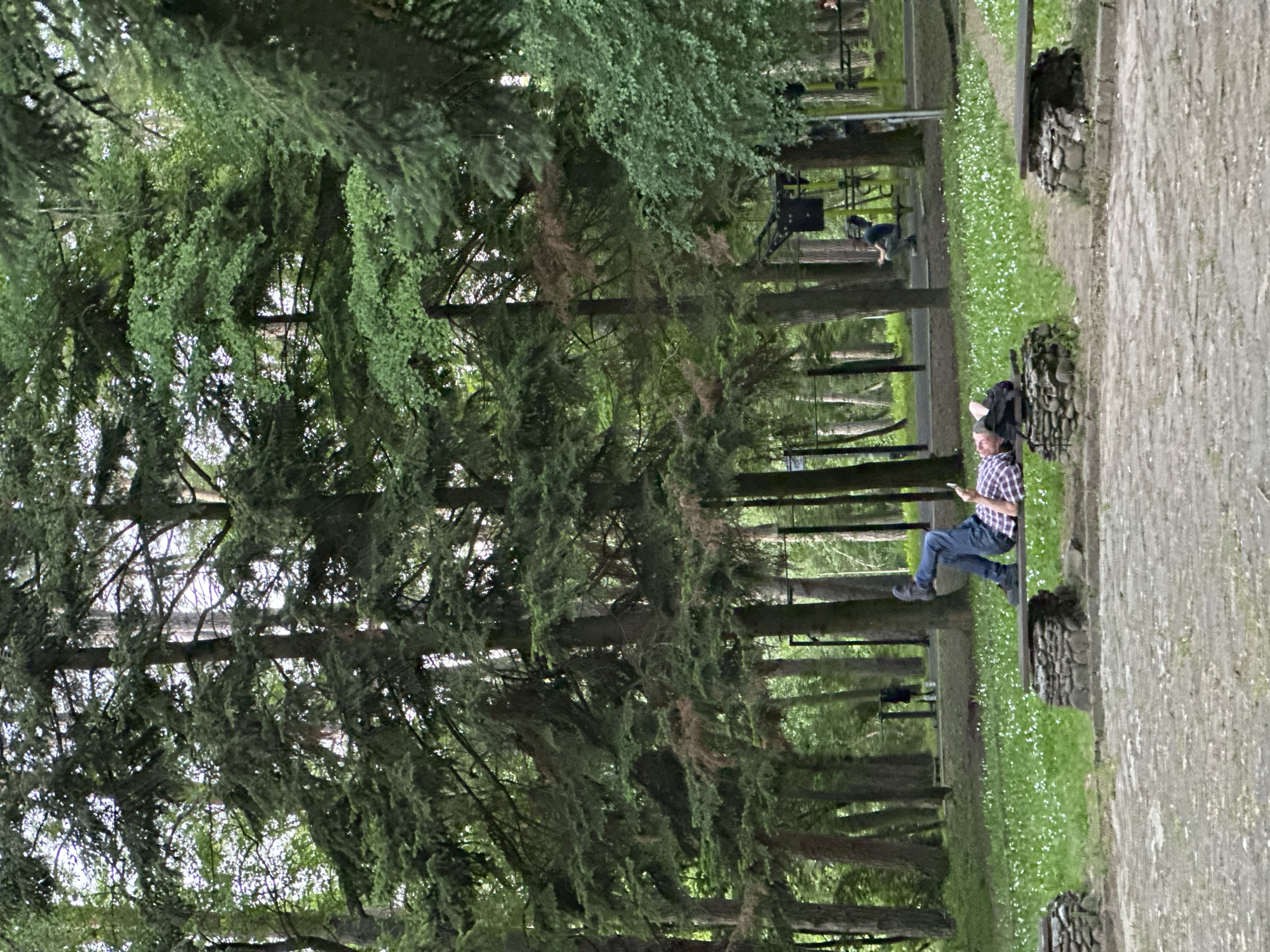 The image depicts a park setting in Lovech, Bulgaria. A man in a plaid shirt and jeans sits on a stone bench, appearing to use a mobile device. He is positioned next to a backpack. The park is characterized by rows of tall trees, a grassy area with small white flowers, and a paved path. A person is visible in the background on a park bench.