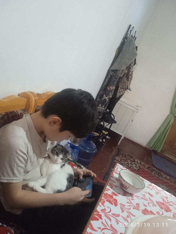 Memory