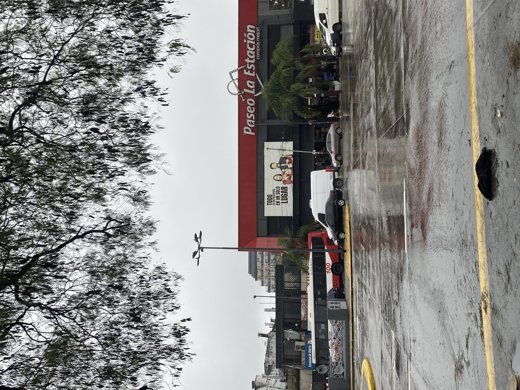 This image captures a street scene on an overcast and wet day, likely following or during rainfall, in Buenos Aires, Argentina. The foreground is dominated by a large tree with intricate, dark branches and dense foliage, silhouetted against a bright, grey sky.
To the right, a prominent red building features the sign "Paseo La Estación" with a heart-shaped emblem, indicating a commercial establishment or shopping center. Below the main sign, a banner reads "TODO LO QUE NECESITÁS, EN UN SOLO LUGAR" (Everything you need, in one single place). Several palm trees are visible near the building's entrance. Further down, another sign for "Farmacias Dr. Ahorro" (Dr. Ahorro Pharmacies) is visible.
The ground, likely a street or parking lot, is visibly wet and reflective, with puddles and streaks of water, confirming the rainy conditions. Yellow and white lines mark the road or parking areas. Various vehicles are present, including a white van, a silver car, and a red and white bus with "100" and "TODO BUS S.A." written on its side. A multi-headed streetlight stands tall in the midground. Several blurry figures of people can be seen near the building and vehicles, suggesting ongoing activity despite the weather. The overall setting appears to be a busy urban or commercial zone, characteristic of a city like Buenos Aires.