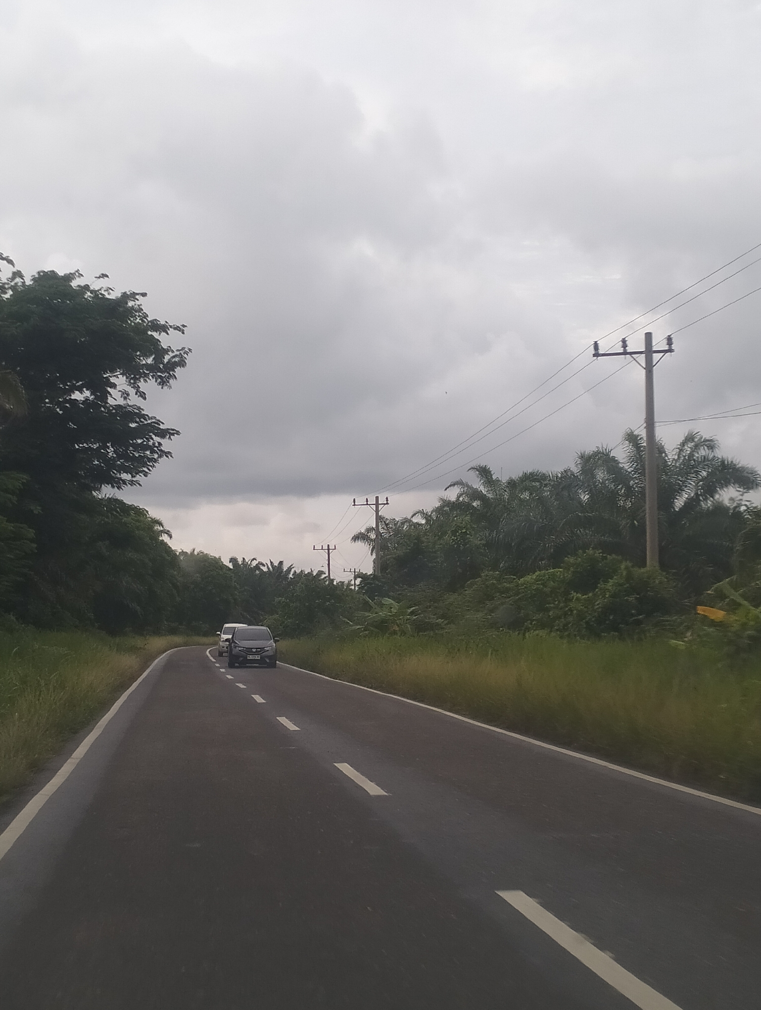 The image depicts a two-lane asphalt road with white lane markings, curving to the right, in a rural or semi-rural area. The road is bordered by a grassy shoulder on the left and dense foliage including palm trees and other vegetation on the right. Two cars are visible on the road, with a darker colored car in the foreground and a lighter colored vehicle behind it. Utility poles with power lines are present along the right side of the road. The sky is overcast and grey, suggesting cloudy weather. The scene appears to be located in or near Teupinreusep, Indonesia, given the vegetation and typical infrastructure seen in such regions.