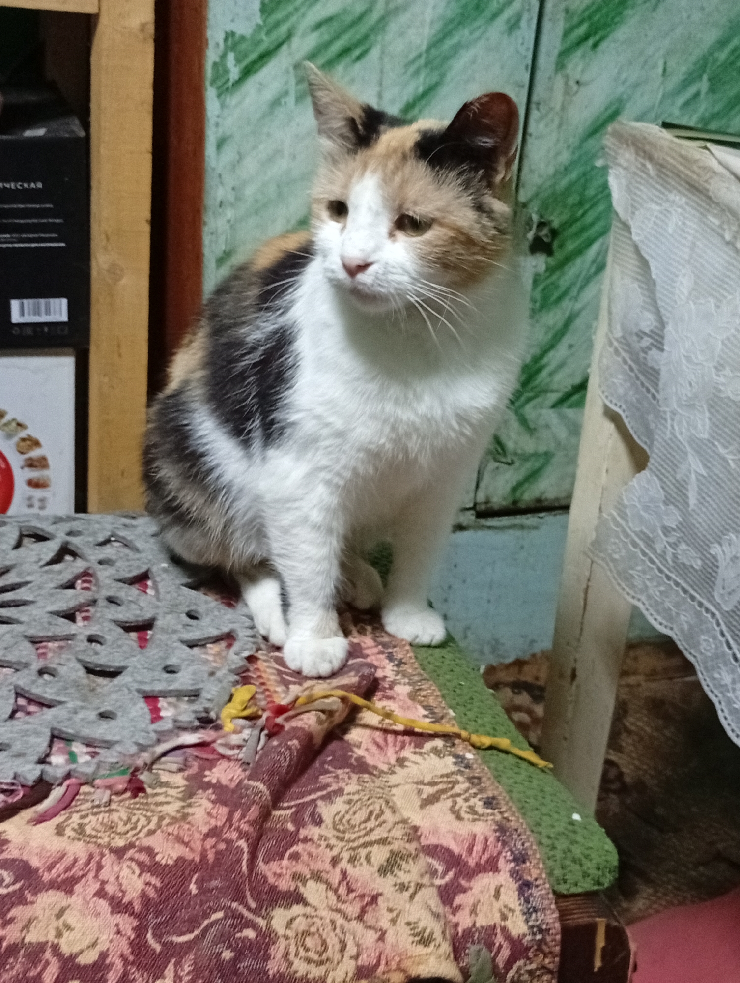 A calico cat sits on a patterned fabric surface in what appears to be an indoor domestic setting, possibly a home in Pavlovsky Posad, Russia. The cat is mostly white with patches of black, orange, and brown fur. Its gaze is directed towards the left of the frame. In the background, a green, textured wall is visible, along with wooden shelving and a piece of white lace fabric. The foreground consists of various textiles, including a grey mat with cut-out patterns and a richly patterned fabric. A thin yellow string is draped across the scene, attached to what looks like a small toy. The lighting suggests an interior environment, possibly with natural light filtering in from an unseen source, creating soft shadows. The overall impression is one of a casual, everyday moment captured within a lived-in space.