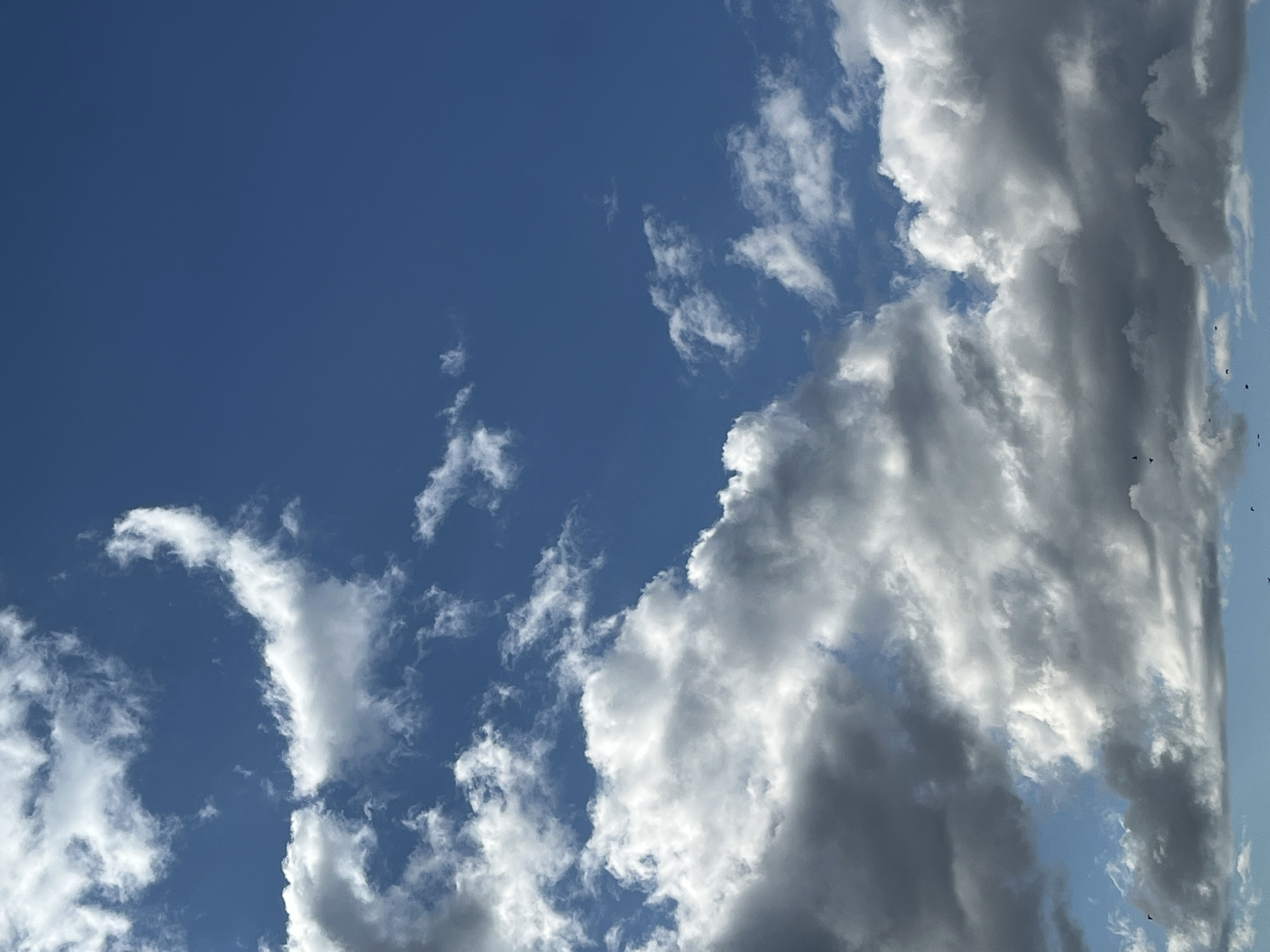 The image is a close-up, low-angle shot of a bright blue sky filled with a mixture of white and dark gray clouds. Some of the white clouds are wispy and thin, while others are larger and more voluminous, with some appearing to be cumulus clouds. The dark gray clouds suggest the possibility of rain or a storm. The bottom of the image shows a sliver of what appears to be a landscape, possibly trees or buildings, and a few small, dark figures that could be birds or kites in the distance. The image does not provide enough information to determine the specific location within Kohtla-Järve linn, Estonia, beyond it being an outdoor scene with a sky and clouds.