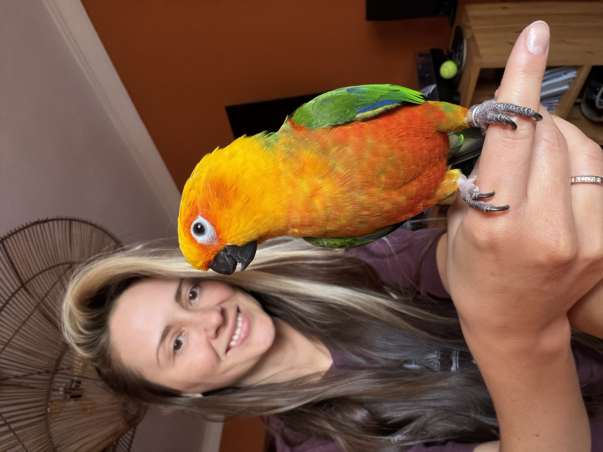 A woman is holding a brightly colored parrot on her finger. The parrot has a yellow head, orange body, and green wings with blue accents. The woman is smiling and looking at the camera. An electric fan is visible in the background. The location cannot be determined to be in the city of Khimki, Russia from the visual information alone.