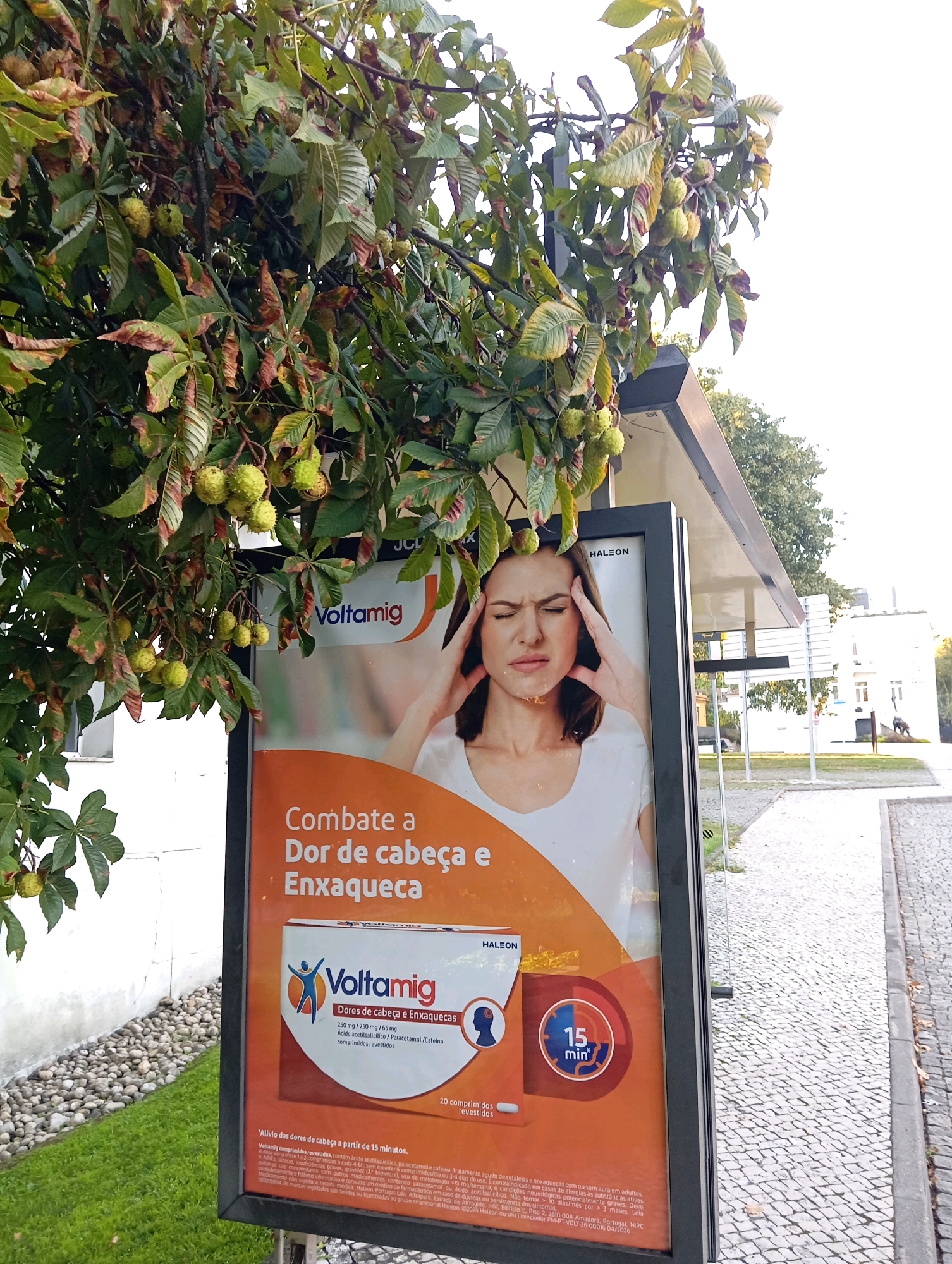 The image shows an advertisement for Voltamid, a medication for headaches and migraines, displayed on a bus stop shelter in Viseu, Portugal. A branch of a horse chestnut tree with green fruits hangs over the top of the advertisement. The advertisement features a woman holding her head in pain, and text in Portuguese that translates to "Combats headaches and migraines." The bus stop shelter has a modern design with a dark grey frame and a white roof. The background shows a cobblestone sidewalk, a grassy area, and buildings. The image is taken from a low angle, looking up at the advertisement and the tree.