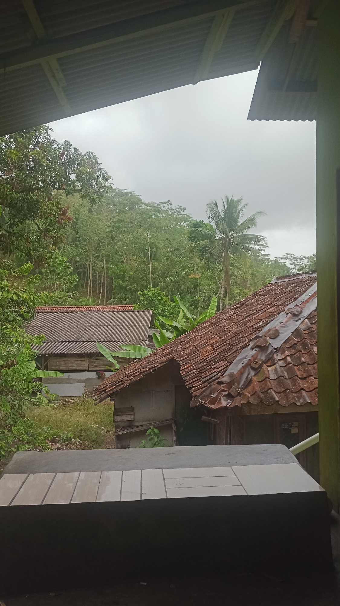 The image depicts a rural residential scene in Singkir, Indonesia, under an overcast sky. In the foreground, a dark, tiled surface forms a ledge or platform. Beyond this, two traditional Indonesian houses are visible. The house on the right has a prominent, weathered terracotta tile roof. To its left, another house with a similar tile roof is partially obscured by lush green foliage, including banana plants. The background is dominated by a dense, verdant hillside covered in trees, suggesting a tropical or subtropical environment. A tall palm tree stands out against the backdrop of the hilly terrain. The overall impression is one of a quiet, rain-threatening atmosphere in a semi-forested area. There are no people or animals visible in the frame.