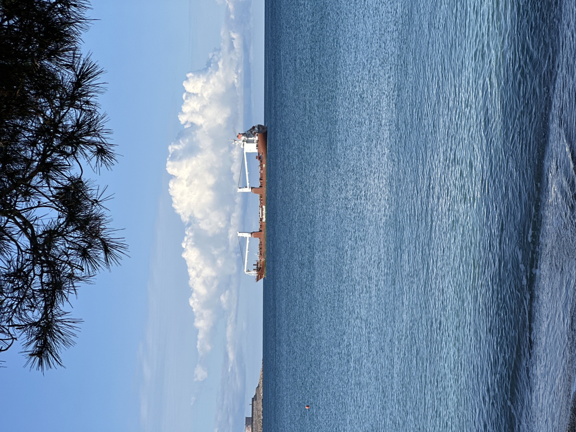 A sideways shot depicts a coastal scene in Šušanj, Montenegro. The composition is split vertically: the left half shows a silhouetted tree branch in the foreground, a blue sky with puffy white clouds, and a large cargo ship positioned in the water near the horizon. The right half is predominantly the calm, blue water of the Adriatic Sea, with gentle ripples and the shoreline visible on the right edge. A coastal building is seen in the horizon underneath the ship and also a red navigation buoy in the water.