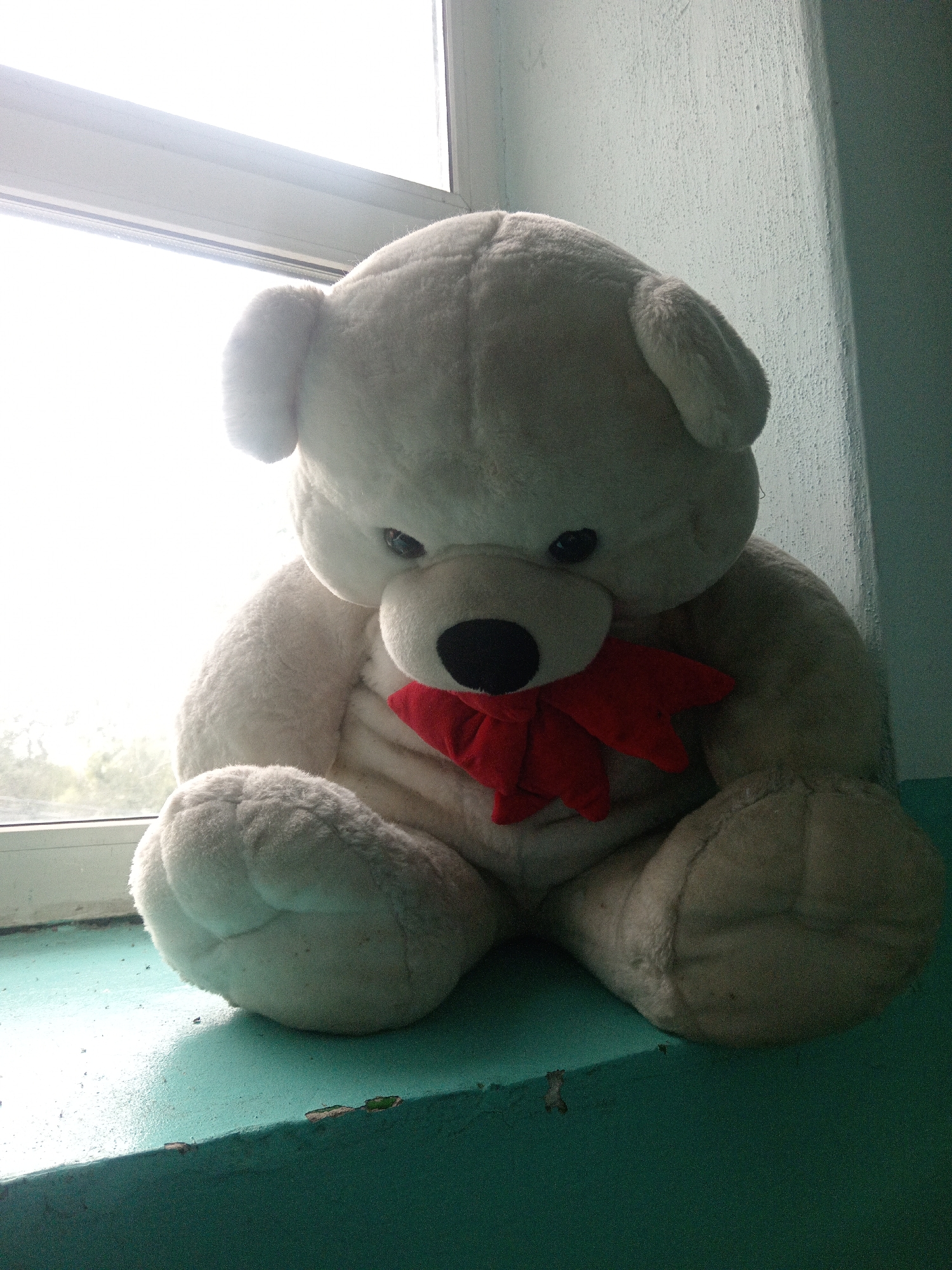 A large, plush white teddy bear with a red bow sits on a teal-painted windowsill. The bear is facing forward, slightly slumped, with its head tilted down. Its eyes are dark and round, and its nose is a black, stitched oval. The windowsill appears to be slightly chipped and worn in places. Behind the bear, a window is visible, with bright light streaming in, obscuring any view of the exterior. To the right of the bear, a textured, light blue wall is visible, casting a shadow. The overall impression is one of a quiet, perhaps slightly neglected, indoor setting. The location is identified as Belogorsk, Russia, suggesting a cold climate given the indoor setting and the nature of the object.