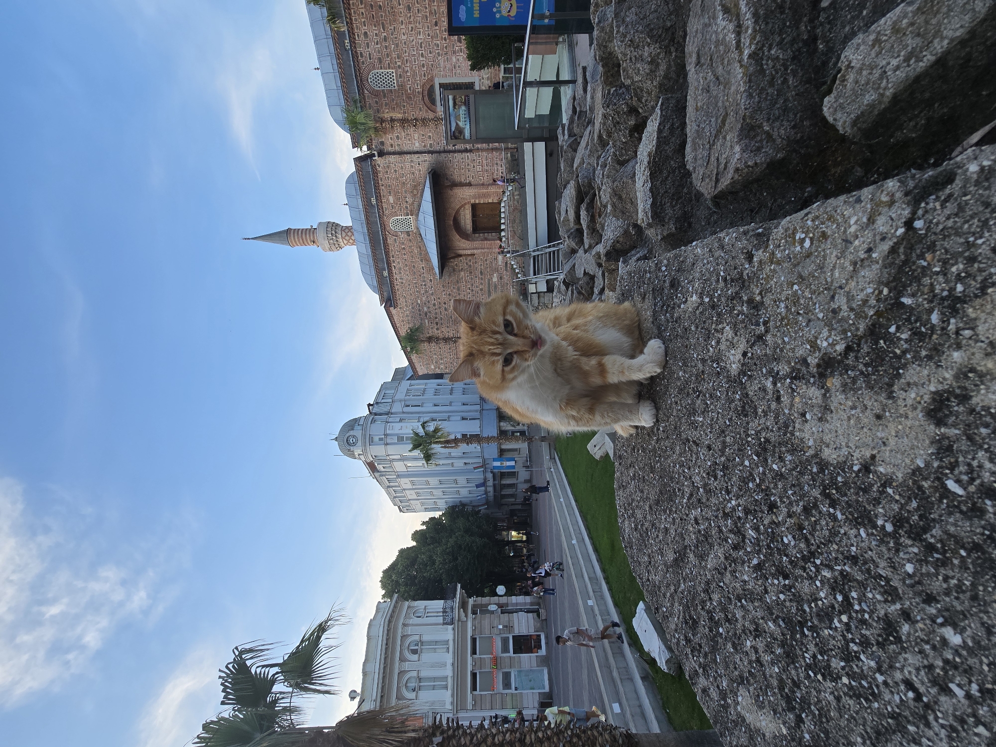 The image captures an outdoor urban scene, dominated by an orange tabby cat resting on a rough, grey stone wall in the foreground. The cat is positioned towards the bottom right of the frame (when correctly oriented), looking directly at the camera with a curious expression and its tongue slightly out.
In the middle and background, a city street unfolds under a clear blue sky dotted with scattered white clouds. To the left, a prominent mosque-like building with a distinctive red brick facade, arched windows, and a tall, slender minaret is visible. Above the mosque, a blue billboard displays Cyrillic text, including "НОВИ" and "МИ", along with a cartoon character, suggesting an advertisement, possibly for children's items.
Across the street, a mix of architectural styles is present, featuring modern and older European-style buildings. One notable structure on the right side of the street features a large domed clock tower. Palm trees and other green foliage are interspersed along the street, which is populated by several pedestrians walking on the sidewalks.
The scene appears to be set during daytime with bright natural lighting. The combination of the mosque, European architecture, palm trees, and visible Cyrillic text strongly indicates a location in Eastern Europe, particularly resembling Sofia, Bulgaria, and the Banya Bashi Mosque. The overall ambiance is that of a bustling city center.