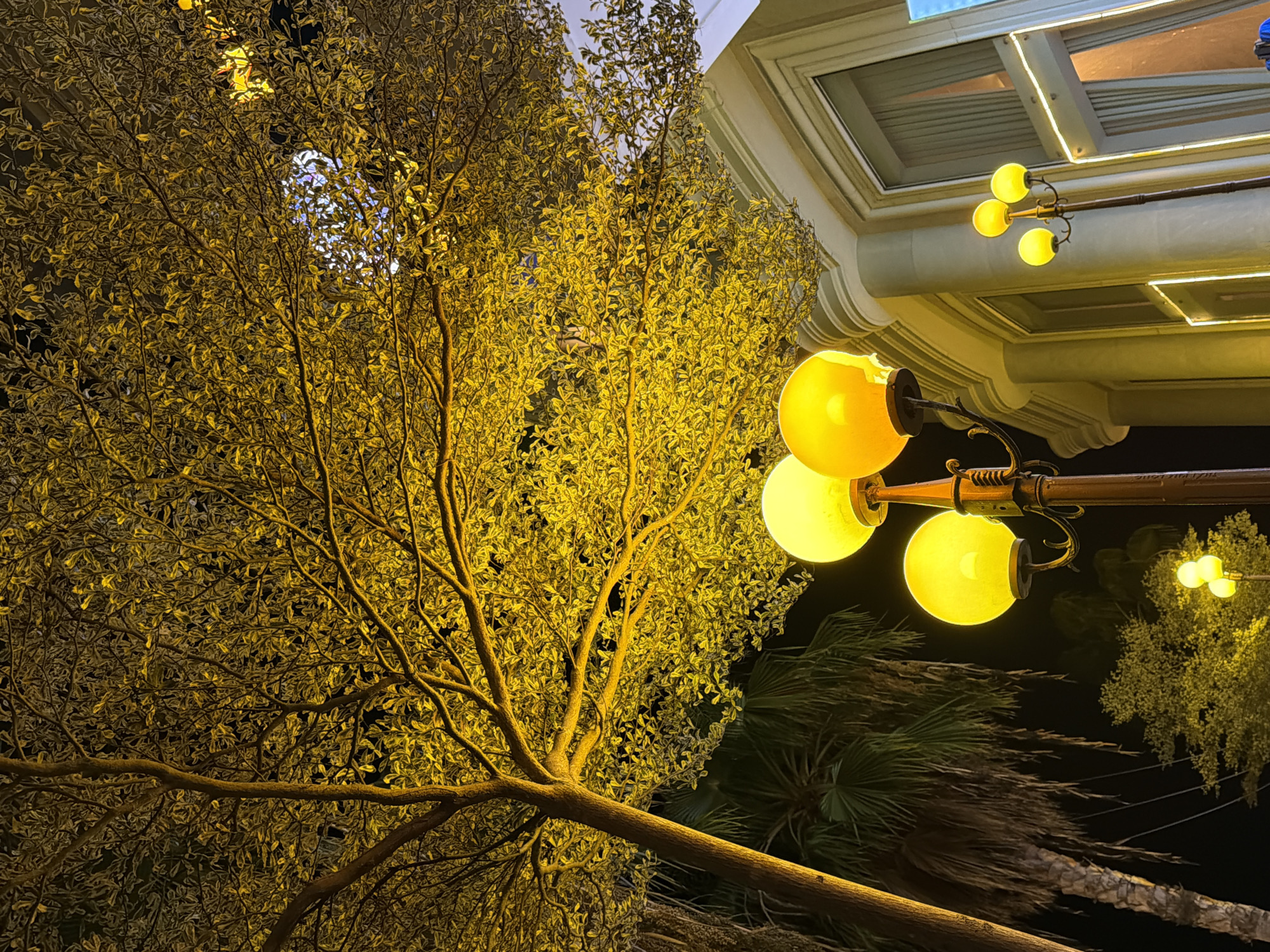 In Nha Trang, Vietnam, at night, a streetlamp with three glowing yellow globes stands in front of a building with large windows. Overhead, a tree with illuminated yellow leaves creates a canopy, its branches silhouetted against the dark sky. Palm trees and other foliage are visible in the background, adding to the tropical atmosphere. The scene is lit by artificial lights, casting a warm glow on the surroundings.
