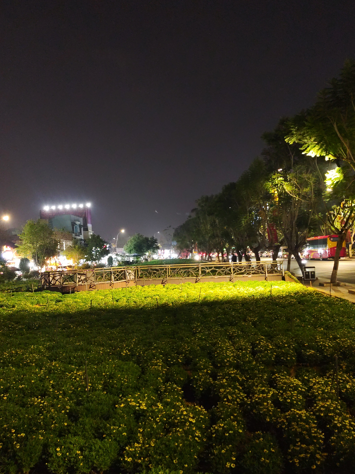 At night in Da Lat, Vietnam, a park with yellow flowers in the foreground is shown. A decorative wooden fence separates the flower bed from a road. Beyond the fence, a row of trees lines the street, and a bus is parked. In the distance, there's a building lit with lights. Pedestrians can be seen on the sidewalk. The sky is dark.