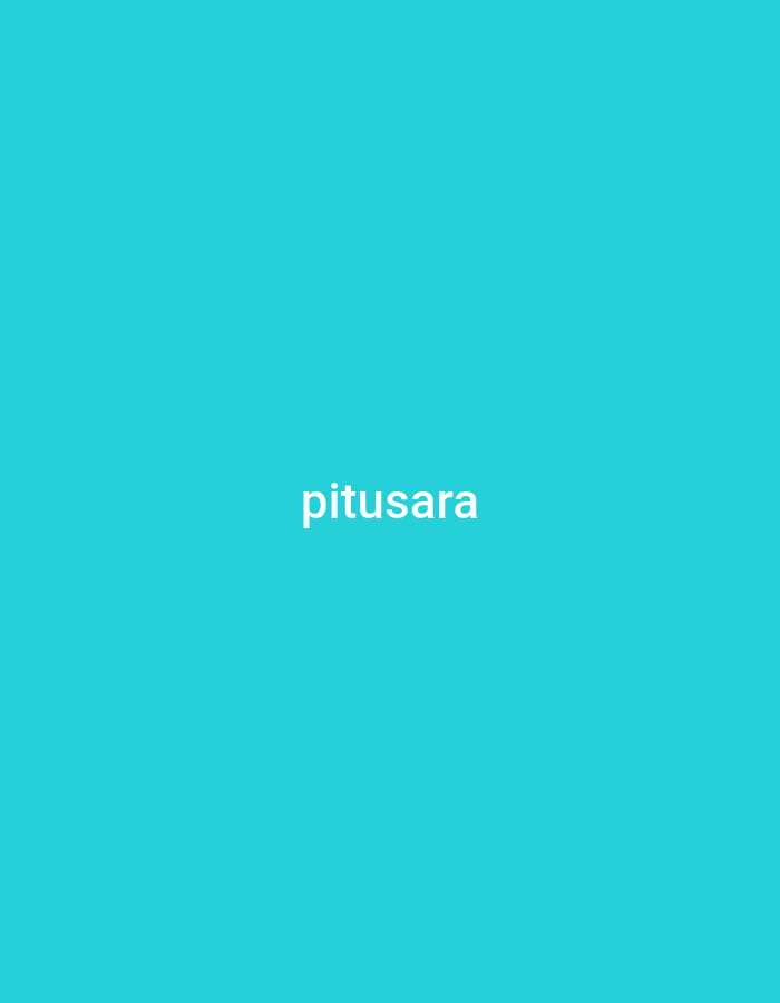 A bright teal background fills the entirety of the image, with the word "pitusara" written in white text centered horizontally and positioned in the upper half of the frame. There are no other objects or subjects visible in the image.