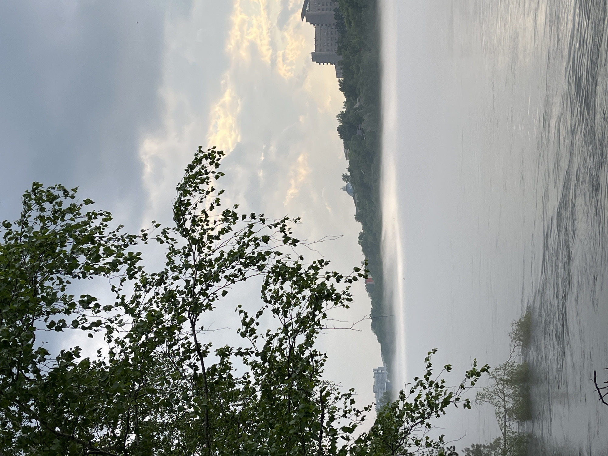 A misty morning scene unfolds along the Yenisei River in Krasnoyarsk, Russia. The foreground is dominated by the lush, green foliage of a tree, its branches hanging over the calm, rippling water. The river itself is partially obscured by a thick layer of fog that stretches towards the opposite bank, creating a sense of ethereal beauty. On the distant shore, a line of trees forms a natural backdrop to a cityscape. Buildings, including what appears to be a large multi-story complex and a domed structure, are visible nestled amongst the greenery, hinting at the urban environment beyond the natural tranquility of the river. The sky above is a mosaic of clouds, with patches of sunlight breaking through, casting a soft, diffused light on the landscape. The overall atmosphere is one of serene, early morning calm, with the mist adding a layer of mystery to the familiar urban landscape.