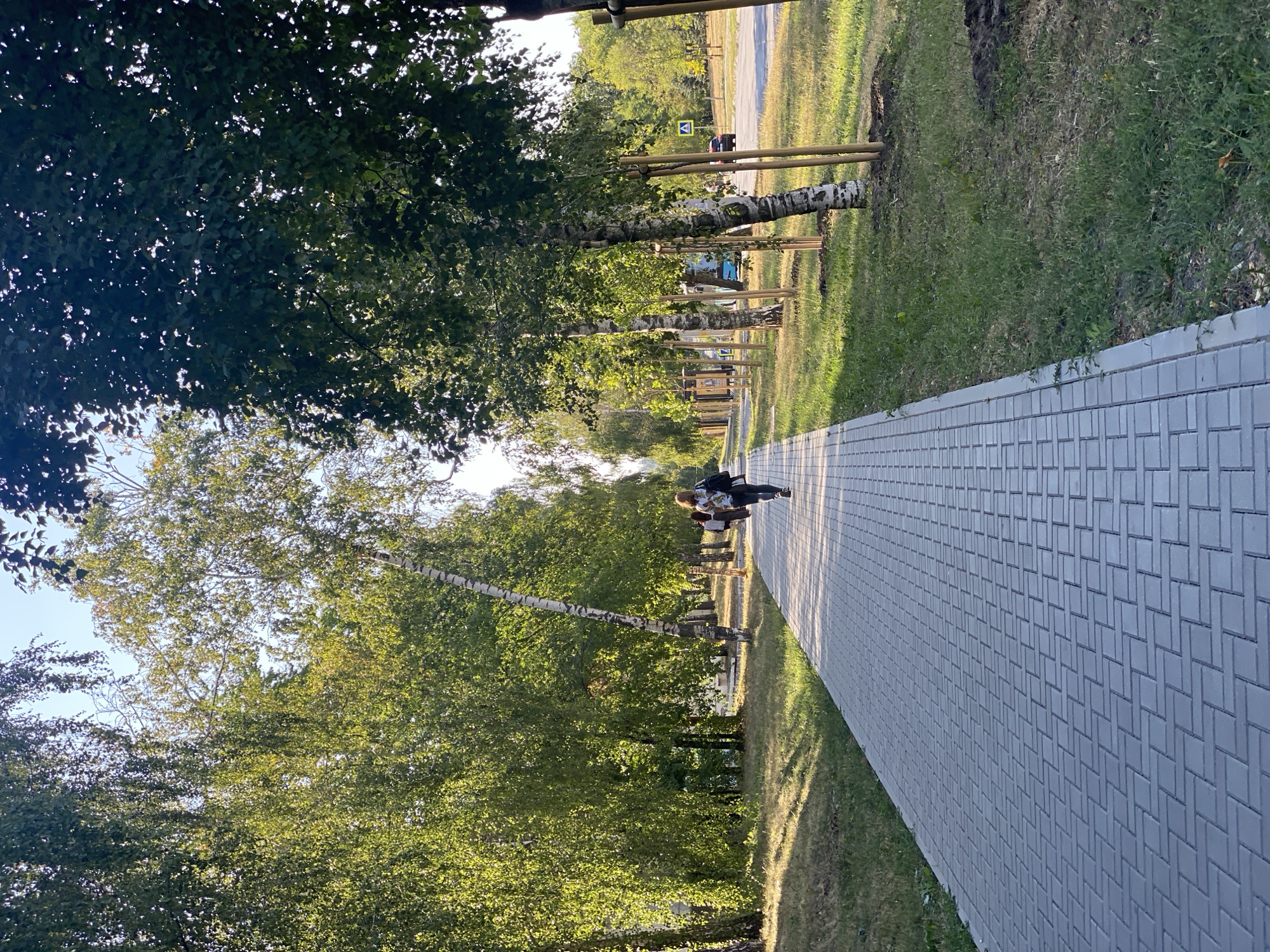 The image depicts a pedestrian pathway paved with grey interlocking pavers, bordered by a grassy area with young trees staked by wooden poles. The pathway recedes into the distance, lined on the left by a dense row of mature trees, predominantly birch trees with distinctive white bark and green foliage. On the right side of the pathway, beyond the young trees, is a road with some traffic, including a blue bus and a red car. Further in the background, more trees and buildings are visible under a clear sky.
A single person, appearing to be a woman with a backpack, is walking away from the camera on the pathway, towards the right side of the frame. Her attire includes dark pants and a lighter-colored top. The sunlight illuminates the scene from the left, casting shadows on the pathway and highlighting the textures of the trees and grass. The overall impression is one of an urban park or tree-lined street in a residential area, possibly during late afternoon given the warm lighting.
This scene is located on Bulevardul Ștefan cel Mare și Sfânt in Chișinău, Moldova. Specifically, it is a section of the boulevard known for its prominent tree-lined avenues and pedestrian walkways. The presence of the mature trees, the paved pathway, and the road with vehicular traffic are characteristic features of this main thoroughfare.
