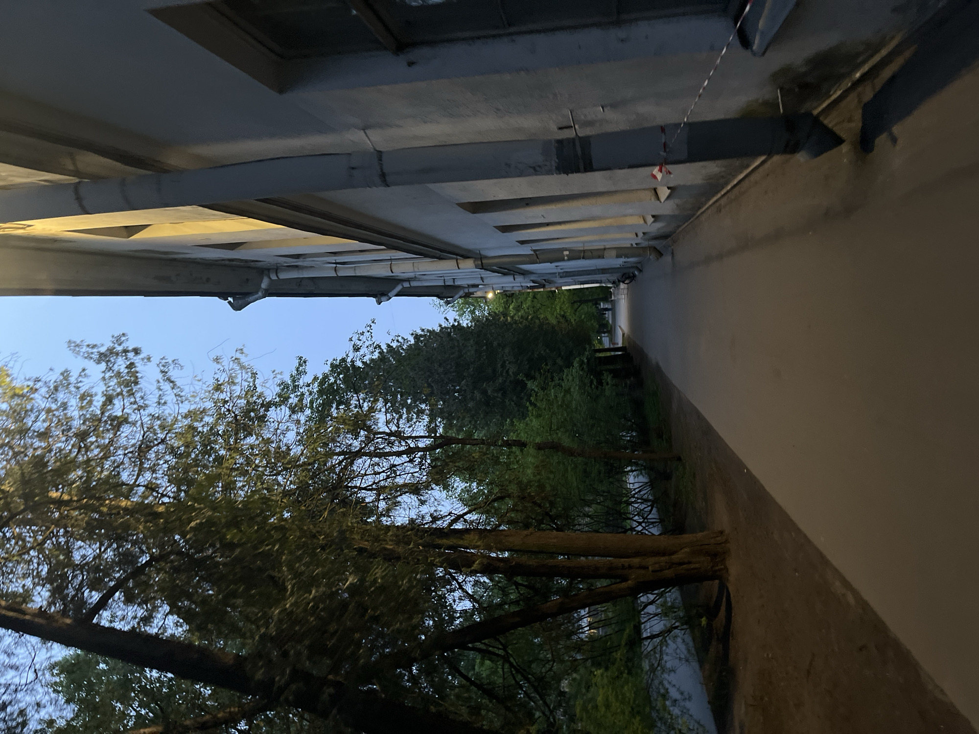 The image depicts a narrow street in Saint Petersburg, Russia, flanked on one side by a building and on the other by trees and vegetation. The building is a light color with architectural details along its upper edge, including visible pipes and structures. The street surface is paved and appears to be illuminated, possibly by artificial light. On the opposite side of the street, trees and foliage line the area, creating a green contrast to the building. The sky is visible above the trees, appearing to be dusk or early evening. There are no people visible in the image. The perspective is from below, looking upward along the street's length.