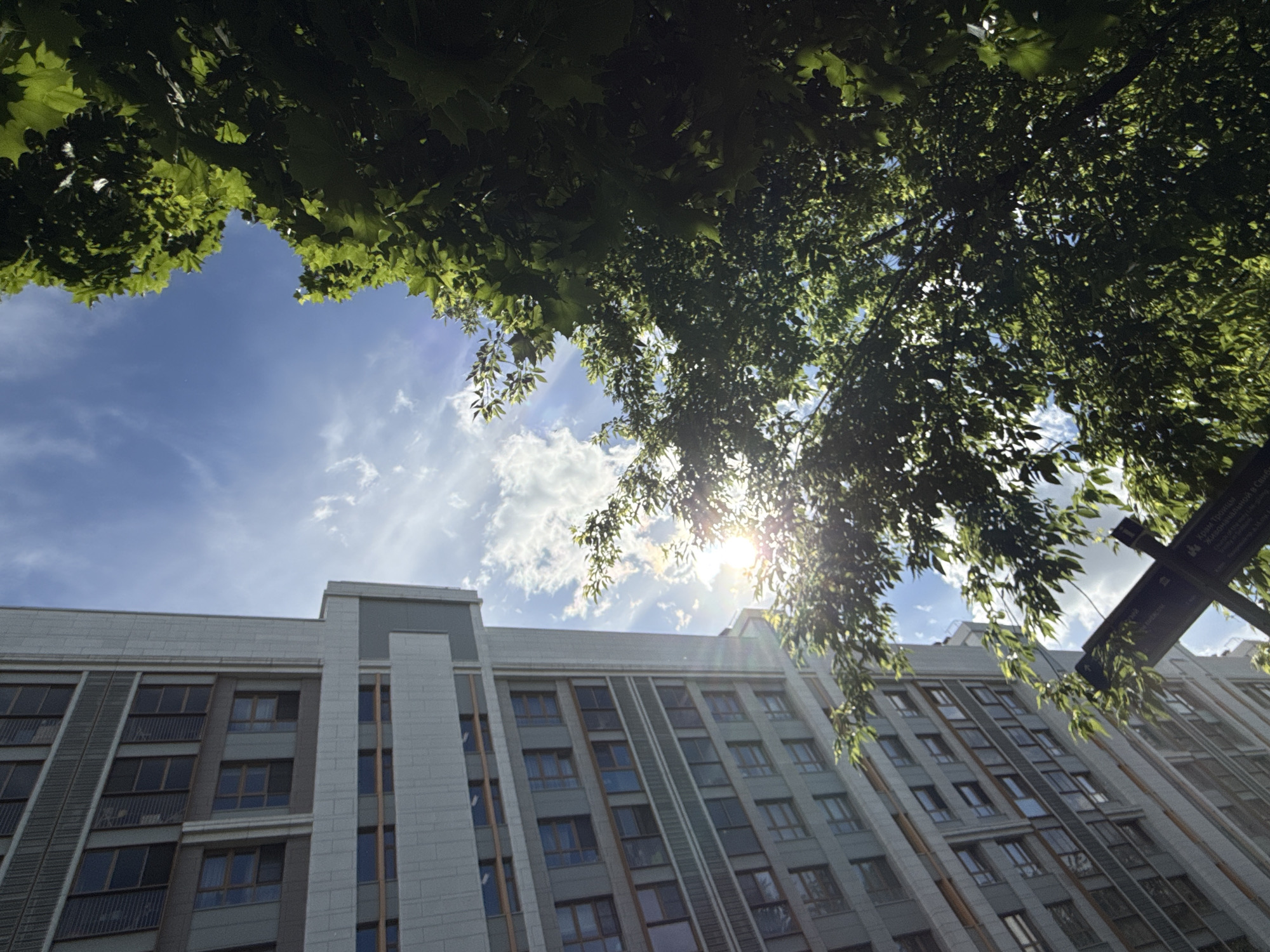 The image shows a low-angle view of a multi-story building in Moscow, Russia, partially obscured by tree branches and leaves. The sky is visible, with some clouds and sunlight shining through the branches. The building has a modern design with numerous windows arranged in a grid pattern. The architecture appears to have a gray facade with vertical design elements. A street sign is visible in the upper right portion of the image. The perspective is looking upwards.
