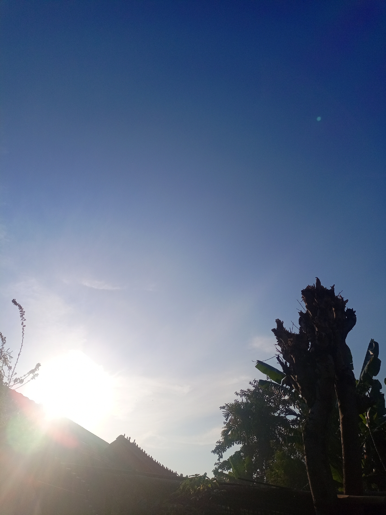 The image captures a bright, sunny day in Margoyoso, Indonesia. The sky is a vibrant blue, with a gradient transitioning to a lighter shade near the horizon. The sun, a brilliant source of light, shines intensely from the left side of the frame, casting a lens flare that creates a radiant glow. In the foreground, silhouetted against the bright sky, are various elements of the natural and built environment.
To the left, a thin, stalk-like plant with small branches and dark foliage stands out. In the center-left, the edge of a roof structure is visible, with a series of small, dark figures, possibly birds, perched along its ridge. The roof appears to be dark in color, contrasting with the bright sunlight.
Dominating the right side of the frame is a large, dead tree trunk, its upper portion appearing jagged and broken. This tree is silhouetted and dark, with visible branches and debris. Behind it, lush green foliage, likely from banana trees and other tropical plants, forms a dense backdrop. The leaves are large and broad, typical of the region's vegetation. The overall impression is of a tropical landscape bathed in the strong sunlight of a clear day.