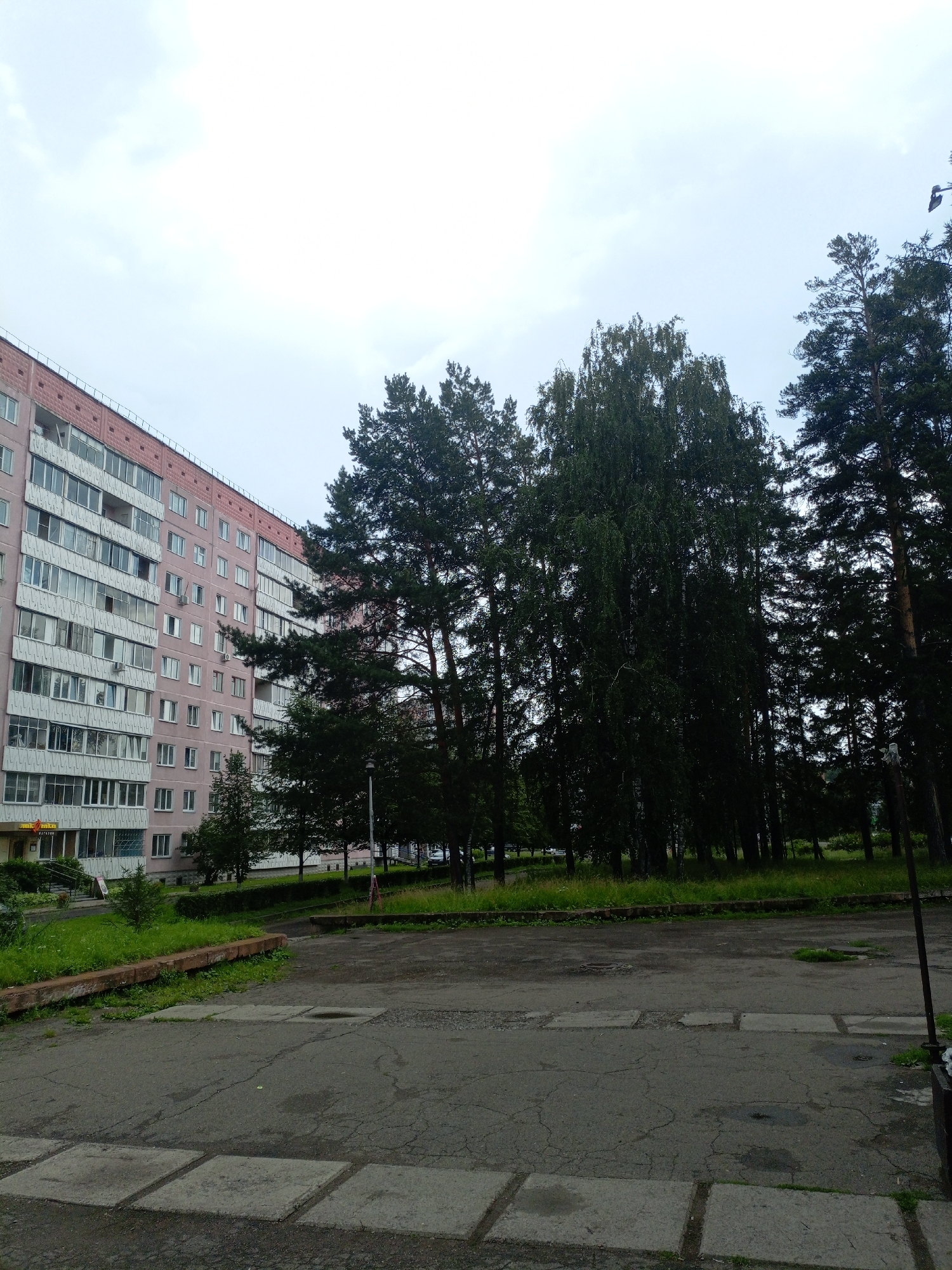 The image depicts a courtyard area in front of a multi-story residential building in Zheleznogorsk, Russia. The building, which appears to be constructed from pink and white concrete, dominates the left side of the frame and features numerous windows and balconies. A line of tall trees, primarily pines and possibly birches, stands in front of the building, creating a buffer between the structure and the courtyard. The courtyard itself is paved with asphalt and concrete slabs and shows signs of wear, with cracks and a small puddle visible. Green grass and vegetation are present along the edges of the courtyard and around the base of the trees. The sky is overcast, suggesting a cloudy day. No people are visible in the scene.