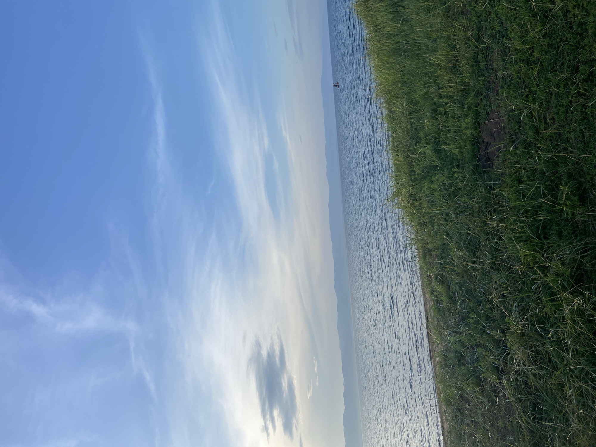The image depicts a serene natural landscape, likely a lakeside or coastal scene, with a clear blue sky dotted with wispy white clouds. In the foreground, lush green grass covers a slope leading down towards the water. The water itself is calm with gentle ripples, and in the distance, a hazy line of mountains can be seen. On the water, a small red object, possibly a buoy or a small boat with people, is visible. The overall impression is one of tranquility and natural beauty. There is no identifiable urban element or reference to the city of Tsaydam, Russia, in the image.