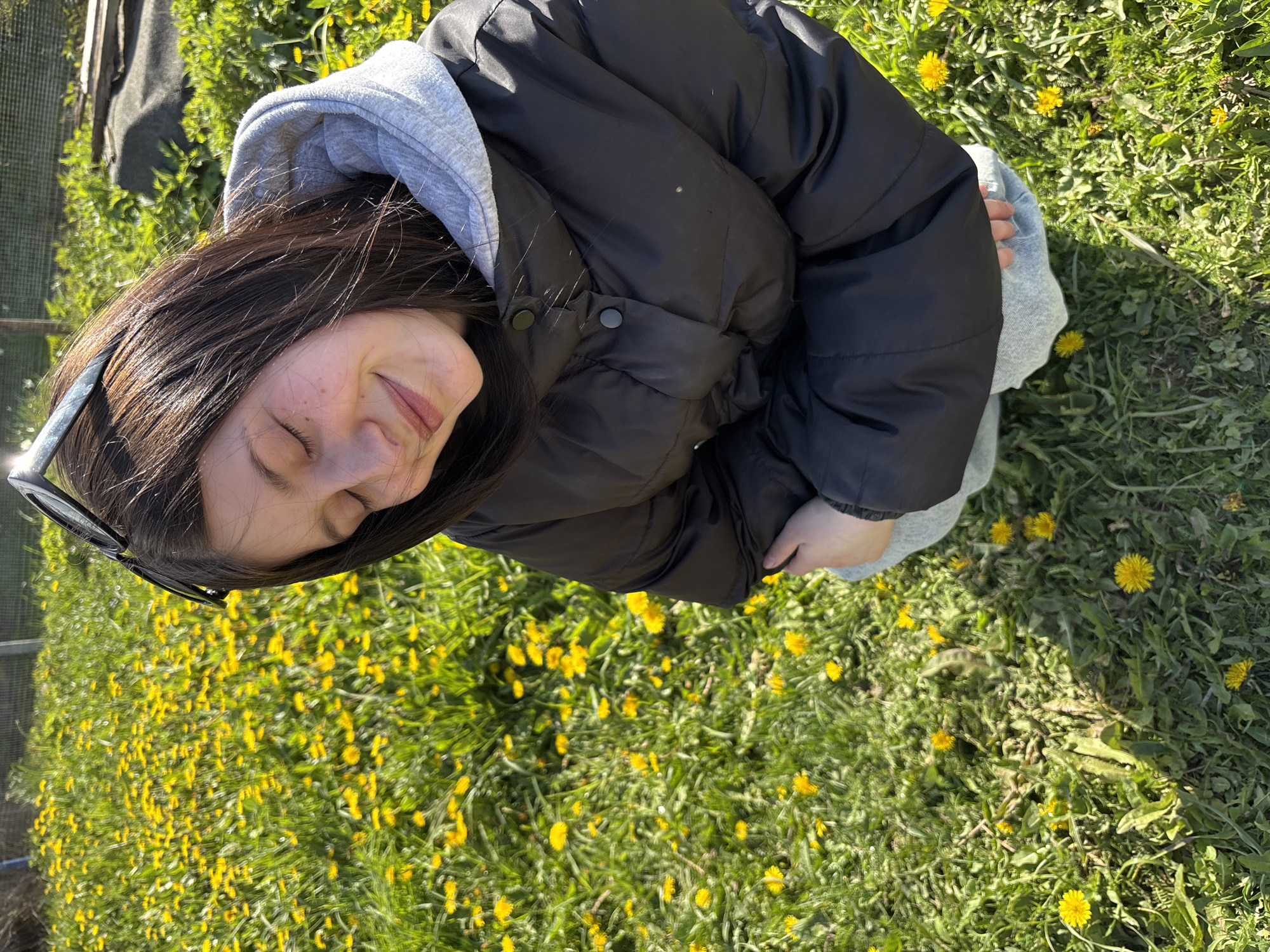 A high-angle shot captures a young person, likely female, lying in a vibrant green field blanketed with countless bright yellow dandelions. The image is rotated 90 degrees counter-clockwise, positioning the subject vertically in the frame.
**Subjects:** The central subject is a person with long, dark brown hair. She is wearing a black puffer jacket over a light grey hooded sweatshirt, and light-colored jeans. Her eyes are gently closed, and a soft smile plays on her lips, revealing freckles on her cheek. A pair of black sunglasses is perched on top of her head, resting in her hair.
**Scene/Setting:** The setting is an outdoor, sunny environment, specifically a grassy area teeming with blooming dandelions. In the background, further greenery and a hint of a metallic structure or fence can be seen, suggesting a garden, park, or rural area. The scene is illuminated by bright natural sunlight, creating a cheerful atmosphere.
**Activity:** The person appears to be in a state of relaxation and contentment, possibly enjoying the warmth of the sun or simply resting amidst the flowers. Her closed eyes and serene expression convey a sense of peace and tranquility.
**Notable details:** The abundant dandelions indicate spring or early summer. The strong sunlight casts subtle shadows, confirming a clear, bright day. The person's relaxed posture and facial expression suggest a moment of quiet enjoyment. The clothing (puffer jacket and hoodie) implies it might be a cool but sunny day. The location context is Fokino, Russia.
**Visible text:** There is no visible text in the image.