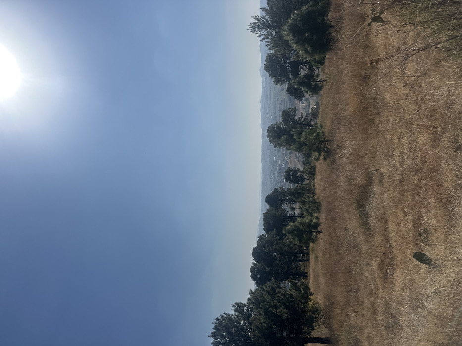 A sunlit sky dominates the image. A hazy view of a distant cityscape is visible, bordered by a line of trees. A field of dry, golden grass occupies the right side, with occasional patches of green vegetation. The image is slightly rotated, giving a sense of looking down from a hillside or elevated position.