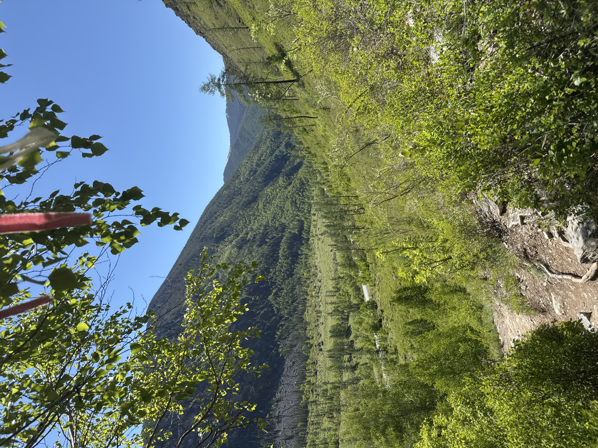 The image shows a mountain landscape with dense green vegetation, possibly trees and shrubs, covering its slopes. A mountain range is visible in the distance. The sky is clear blue. A tree is visible with vibrant green leaves. The location is stated to be Unknown, Russia, but there are no visual elements that clearly indicate the city or region.