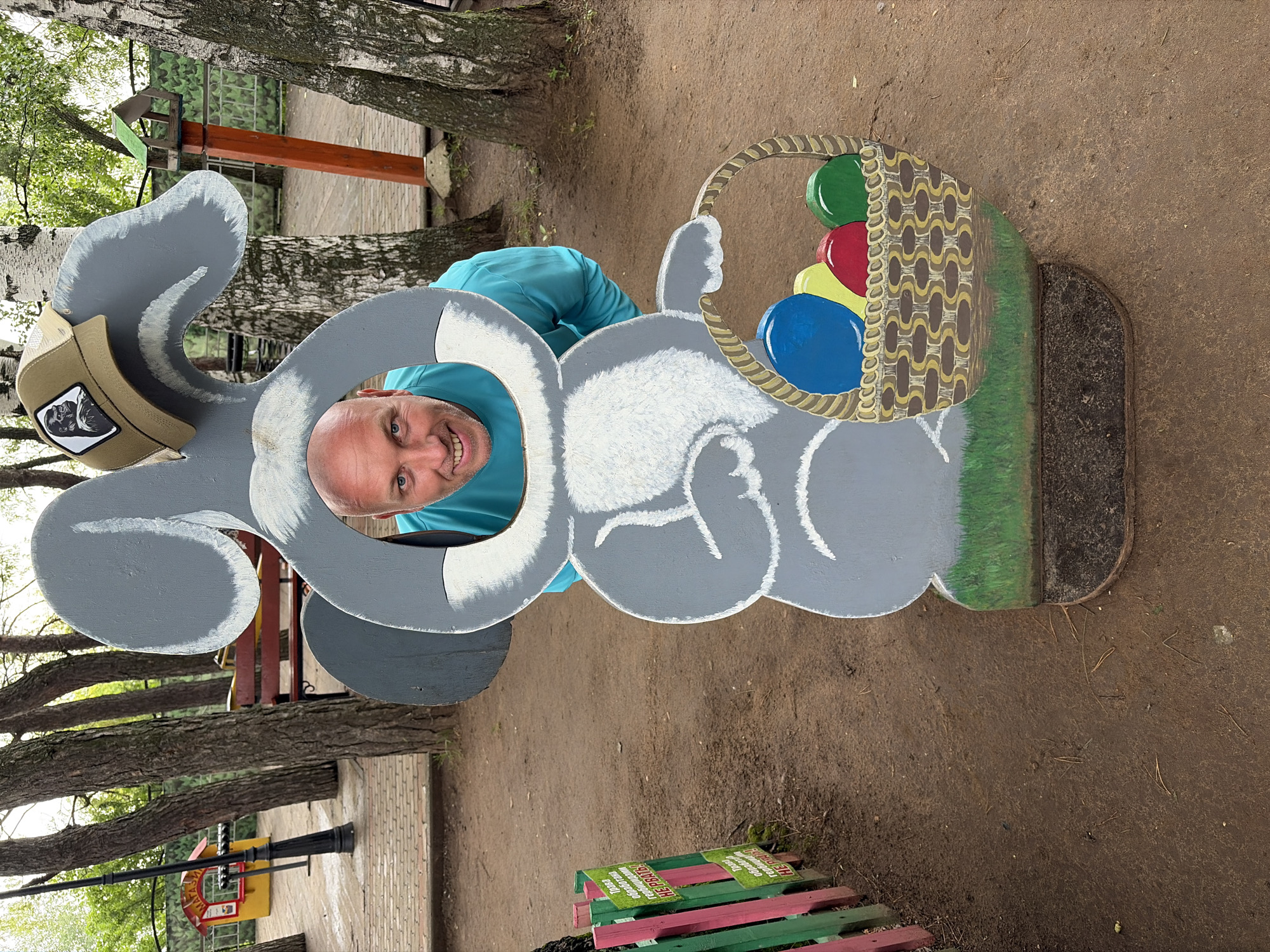 A bald Caucasian man wearing a turquoise long-sleeved shirt and a brown baseball cap with a gorilla logo is peeking through a cutout in a large, grey, cardboard rabbit prop. The rabbit prop is positioned outdoors in what appears to be a park or recreational area. The prop has a basket of colorful Easter eggs at its base, including blue, yellow, red, and green. The background features trees with birch bark, a wooden bench, and a small red and yellow kiosk with the word "МАГАЗИН" (shop) visible. A wooden fence with green and pink posts is on the left side of the image, with signs in Russian that appear to contain warnings. The ground is covered with dirt and pine needles. The image appears to have been taken in the city of Chaikovsky, Russia, given the context of the signs and kiosk.