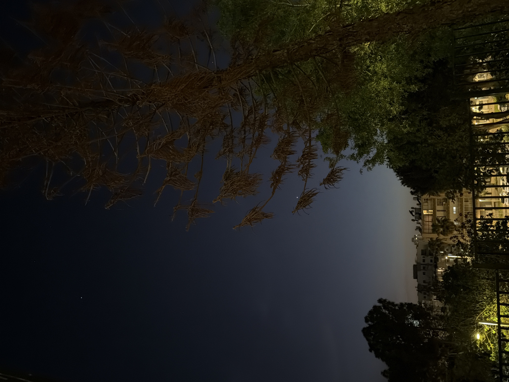 Here is a description of the image:
The image depicts an upside-down view of a city scene at night. The dark sky occupies a significant portion of the frame. Trees with dense green foliage are visible on the upper right side of the image, while a tree with drier, more sparse branches appears on the upper left. A building with illuminated windows stands in the background, seen through a fence. Street lights cast a yellow glow on the surrounding foliage. The image gives the impression of a nighttime shot taken in an urban area, with a mix of natural and artificial lighting.