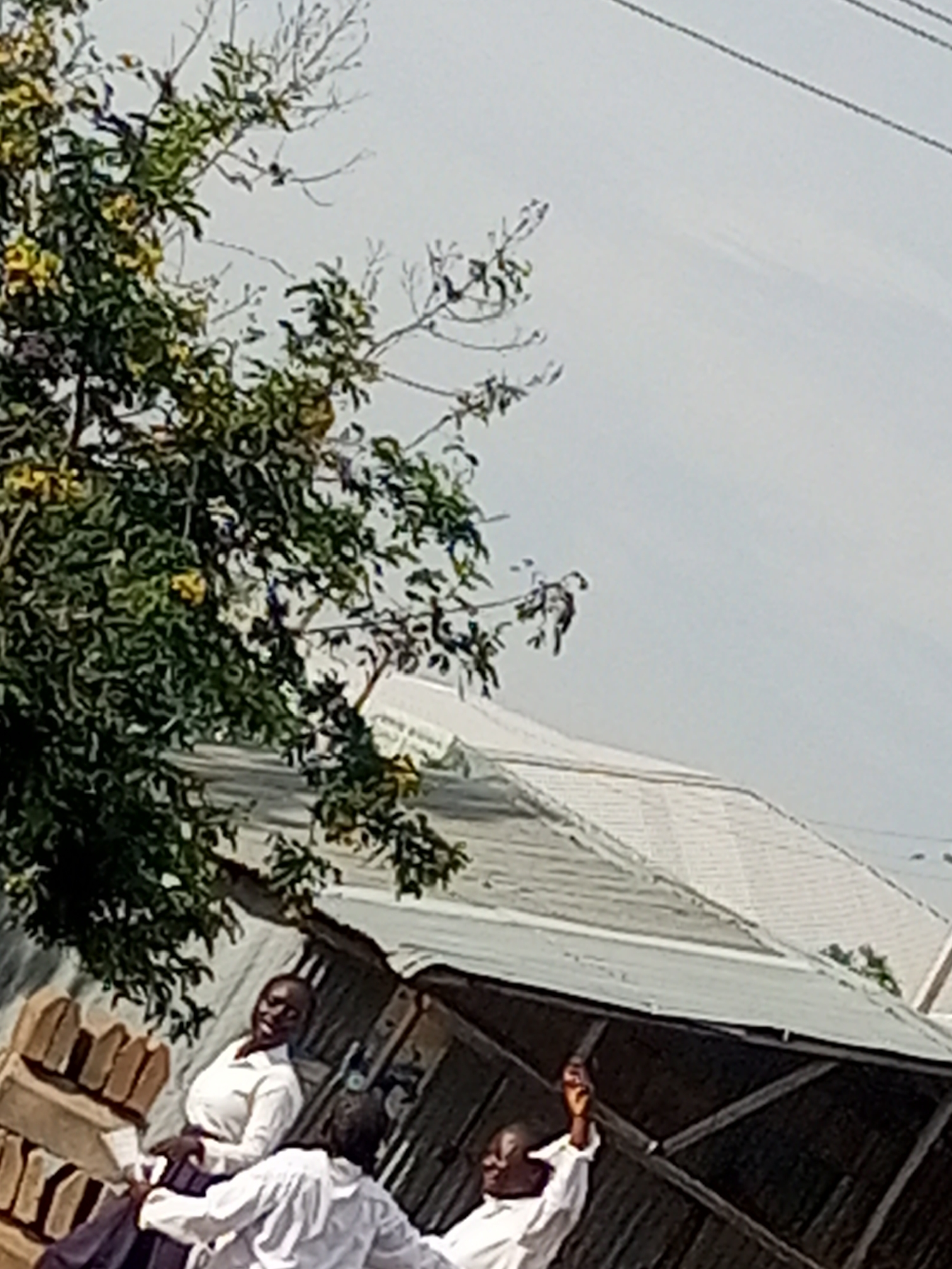 The image captures a scene with a group of people, likely in Tempure, Nigeria. In the foreground, two individuals are visible. The person on the left is a Black woman wearing a white collared shirt and a dark purple skirt, her head tilted back and mouth open as if laughing. The person on the right, also Black, is wearing a white collared shirt and appears to be raising their right hand. Behind them, another person in a white collared shirt is partially visible, their back to the camera. The setting includes a building with a corrugated metal roof and a brick structure to the left. A tree with green leaves and some yellow blossoms is prominent on the left side of the frame. The sky is overcast with some visible utility wires. The overall impression is of an outdoor gathering or interaction.
