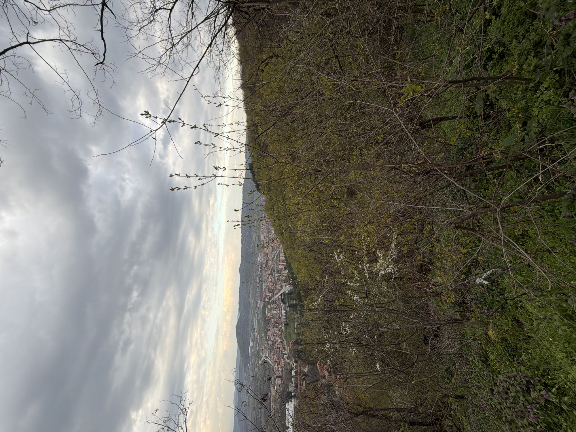 The image shows a view of Bratsigovo, Bulgaria, from an elevated position. The town is nestled in a valley surrounded by hills. The sky is overcast with grey clouds. In the foreground, there are tree branches with sparse foliage. The town below consists of buildings with orange tile roofs. There is a river or body of water visible in the distance. The hillside is covered in green vegetation, including trees and bushes.