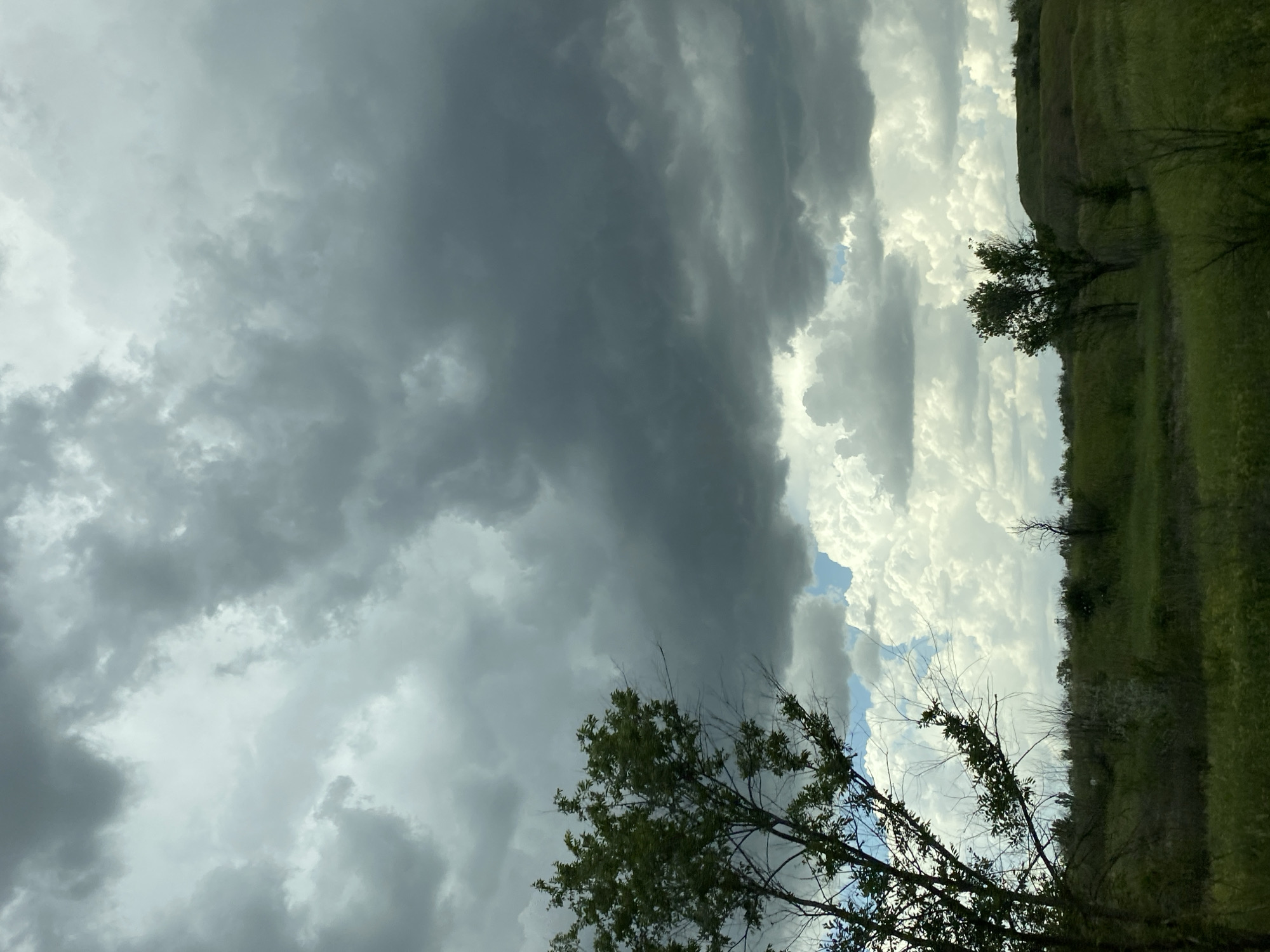 The image depicts a landscape under a dramatic sky. To the left, dark, ominous clouds dominate the view, suggesting an approaching storm. To the right, lighter, brighter clouds hint at a break in the weather. Below the clouds, a grassy hillside is visible, sparsely dotted with trees and bushes. The trees in the foreground, silhouetted against the sky, show signs of foliage. The overall impression is one of a rural or semi-rural scene, possibly in a location with open fields or rolling hills. No people are visible in the image. The location is specified as Unknown, Unknown.