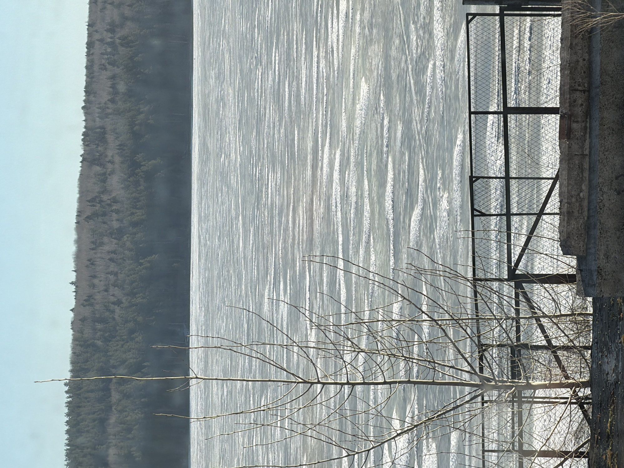 The image depicts a frozen body of water, possibly a lake or reservoir, adjacent to a forest. A metal gate or fence is present on the right side of the frame, attached to a concrete structure. Bare tree branches are visible in the foreground, partially obscuring the view of the frozen water and the fence. The location is speculated to be in the city of Chaikovsky, Russia, based on the original metadata.