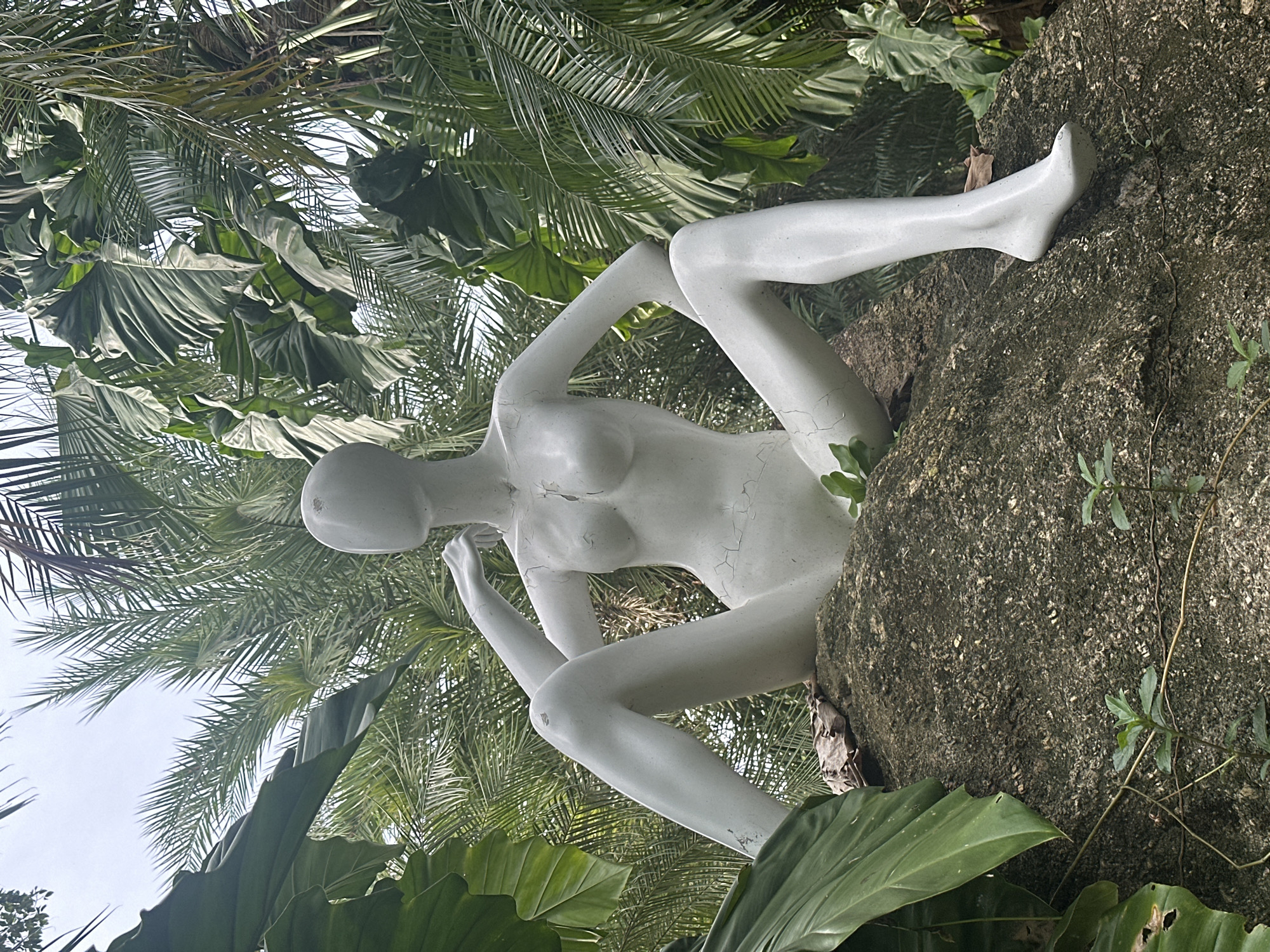 A white, lifelike mannequin, depicting a female form, is seated on a large, moss-covered rock in a lush, tropical environment. The mannequin is positioned with its legs spread wide, one arm resting on its raised knee and the other bent at the elbow. Its head is tilted slightly to the side, and it has a smooth, featureless face. The mannequin exhibits visible cracks and wear, suggesting age and exposure to the elements.
The surrounding environment is dense with vegetation, including large, vibrant green leaves and the feathery fronds of palm trees. The foliage creates a dense canopy, with glimpses of a bright, overcast sky visible through the leaves. The ground beneath the rock is rough and textured, with smaller plants and vines growing around its base. The scene appears to be an outdoor setting, likely a garden or natural park, given the abundance of plant life and the overall wild, untamed appearance. The image does not contain any specific visual indicators of the city of Baan Lipa Noi, Thailand, however, the dense tropical foliage is consistent with a Thai environment.