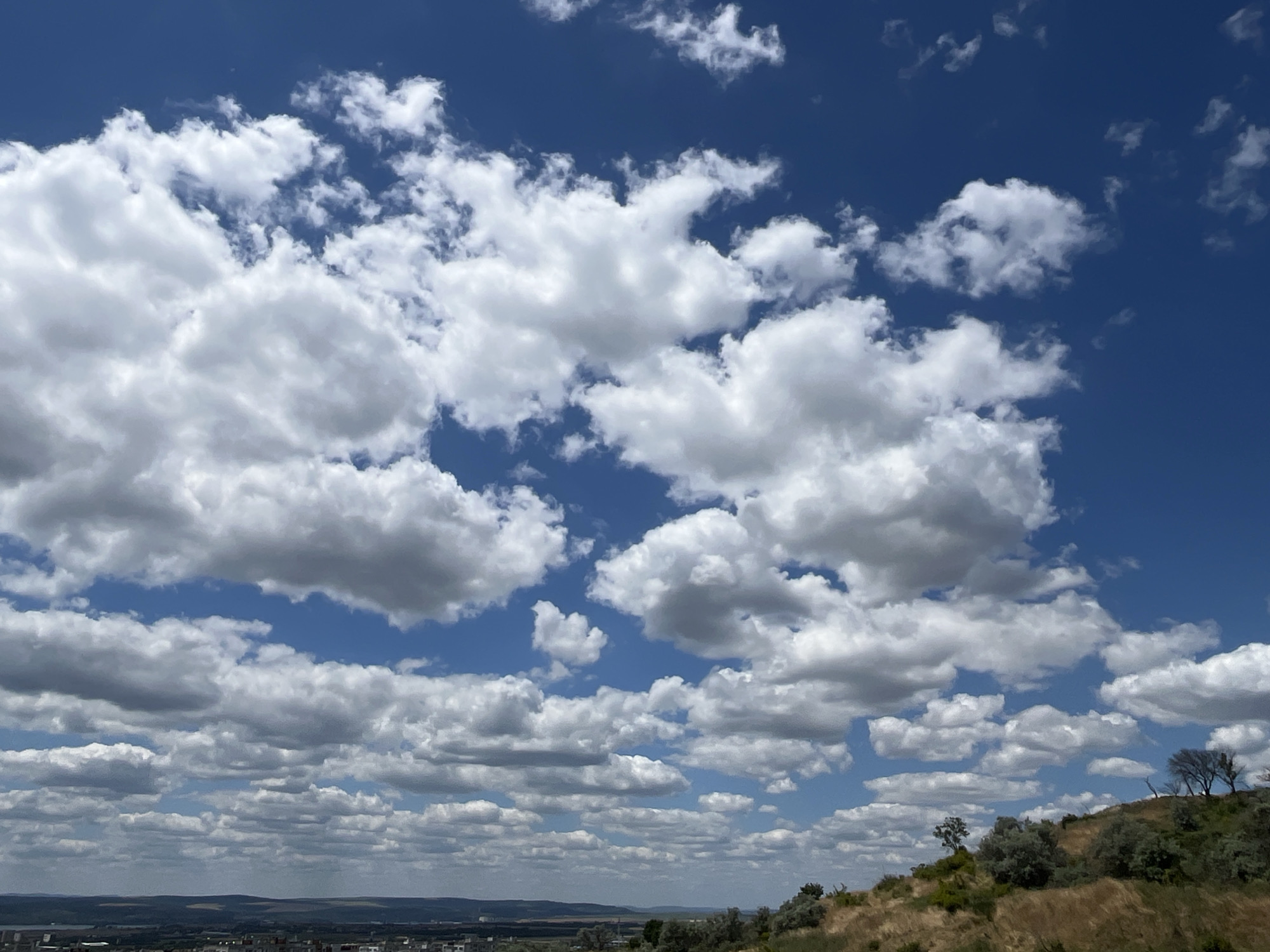 A wide-angle, landscape, eye-level, outdoor, daytime, sunny photograph captures a panoramic view of the city of Varna, Bulgaria. The sky is a deep blue, filled with numerous fluffy white clouds of varying sizes and densities. The clouds are predominantly cumulus clouds, scattered across the entire frame. In the foreground, a grassy, dry hillside slopes downwards from the right side of the image. The hillside is covered in sparse, dry, yellow-brown vegetation and scattered bushes and trees. The trees are small and appear somewhat sparse. The middle ground features a distant city with low-rise buildings, some visible houses, and a body of water that appears to be the Varna Bay. The horizon line is low in the frame, with the city and water occupying the bottom portion of the image. The overall impression is a bright, clear day with a dramatic cloudscape over a coastal urban environment.
