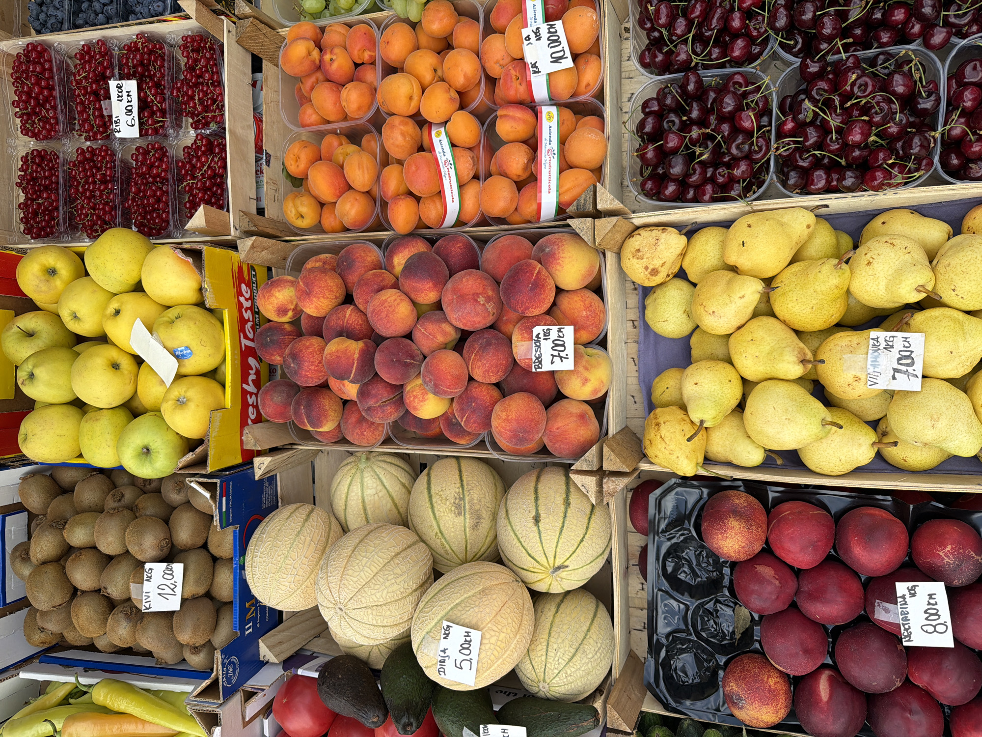 The image depicts a vibrant fruit stall at an outdoor market, likely in Sarajevo, Bosnia and Herzegovina, given the presence of Bosnian currency denominations on some price tags. The stall is densely packed with an assortment of fresh fruits displayed in wooden crates and plastic containers.
In the foreground, to the left, a black plastic tray holds a collection of dark red nectarines, some with visible yellow and red blush. A white price tag reads "NECTARINA NOS 8.00 KM". To the right of the nectarines, a crate is filled with yellow pears, many with visible stems. Another white price tag, partially obscured, reads "VILJANOVA KG 7.00".
Behind these, a large display of various melons, primarily cantaloupes, are stacked in wooden crates. One prominent cantaloupe has a white price tag indicating "DINJA NEG 5,00 KM". To the left of the melons, a red tomato and two dark avocados are visible.
The upper section of the image showcases more fruits. A crate on the far left contains yellow peppers. Adjacent to this is a crate filled with kiwi fruit, with a white tag reading "KIVI AKG 12.00". Next to the kiwi, a crate holds yellow apples.
Further to the right, several plastic containers are filled with red currants, one of which has a tag reading "RIBI IKOR 6.00 KN". Below the currants, crates are filled with apricots. One tag shows "AZIENDA FRUTTICOLA" and "10.00 KM".
The very top right of the image shows a glimpse of blueberries in a plastic container and red cherries in another.
The overall impression is one of abundance and freshness, typical of a local market setting. The lighting suggests it is daytime, likely outdoors, with the arrangement of fruits indicating a commercial transaction environment. No people are visible in the image.