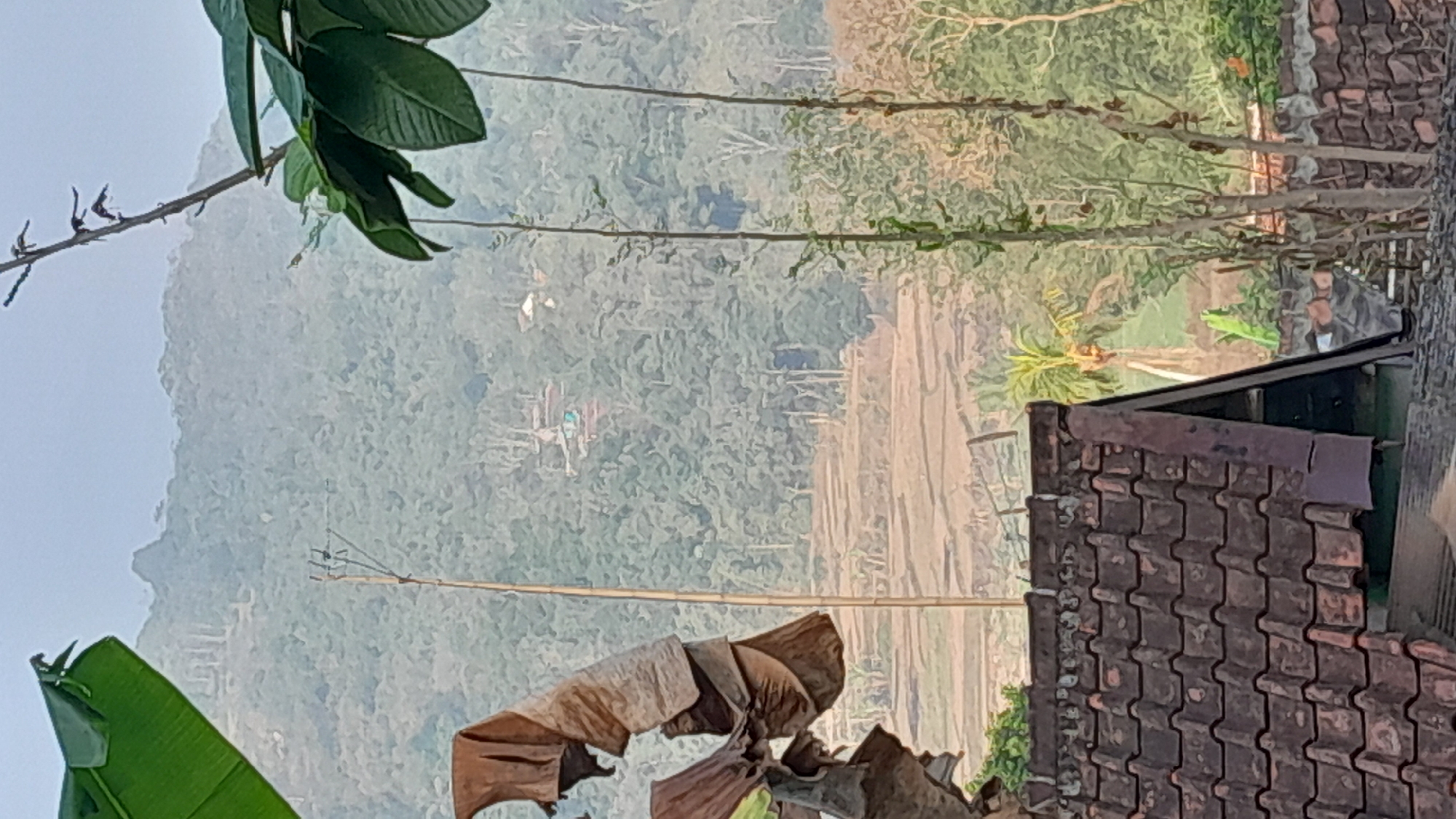 The image captures a scenic view of a rural landscape, likely near Sumedang, Indonesia, with a focus on a distant hillside and foreground elements. In the foreground, a portion of a tiled roof is visible, suggesting a residential area. Beyond the roof, dry, brown leaves hang from a plant, adding texture and a sense of natural decay. A tall, thin bamboo pole stands vertically in the mid-ground, possibly a support for something or a part of the local infrastructure.
The mid-ground reveals terraced fields, a common sight in Indonesian agriculture, with the earth appearing dry and light brown. Further in the distance, the hillside is covered in lush green trees, indicating a heavily forested area. A cluster of buildings, appearing as small white and colored structures, are nestled within the trees on the hillside, suggesting a small village or hamlet. The overall atmosphere is hazy, with the distant hills fading into a soft, muted background, typical of a morning or evening view, or perhaps a slightly polluted sky. The lighting is soft and diffused, casting no harsh shadows. No people are visible in the frame.