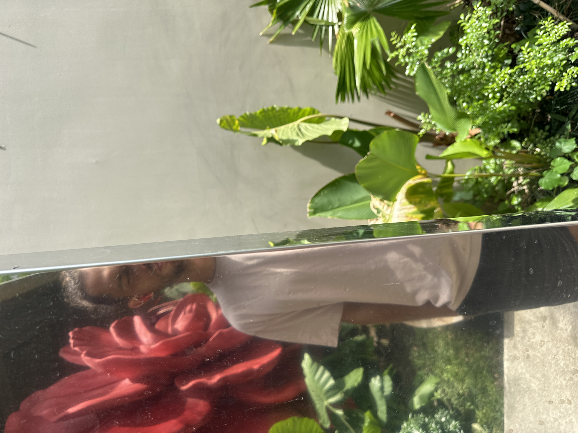 This image depicts a reflection in a mirror of a person standing in front of a wall adorned with a large, red floral motif. The person, partially visible, wears a light pink t-shirt and dark shorts. Behind the person and reflected in the mirror, lush green foliage, including large leaves and smaller plants, is abundant. To the right of the reflection, a plain, light-colored wall is visible, with a shadow cast upon it. The scene is outdoors, bathed in sunlight, suggesting a warm climate. The presence of the floral motif and tropical-looking plants indicates the location is likely a garden or courtyard within Đà Nẵng, Vietnam, possibly at a residential property or a hotel with a garden feature. The mirror's surface appears to have some smudges and water droplets, indicating it might be exposed to the elements.