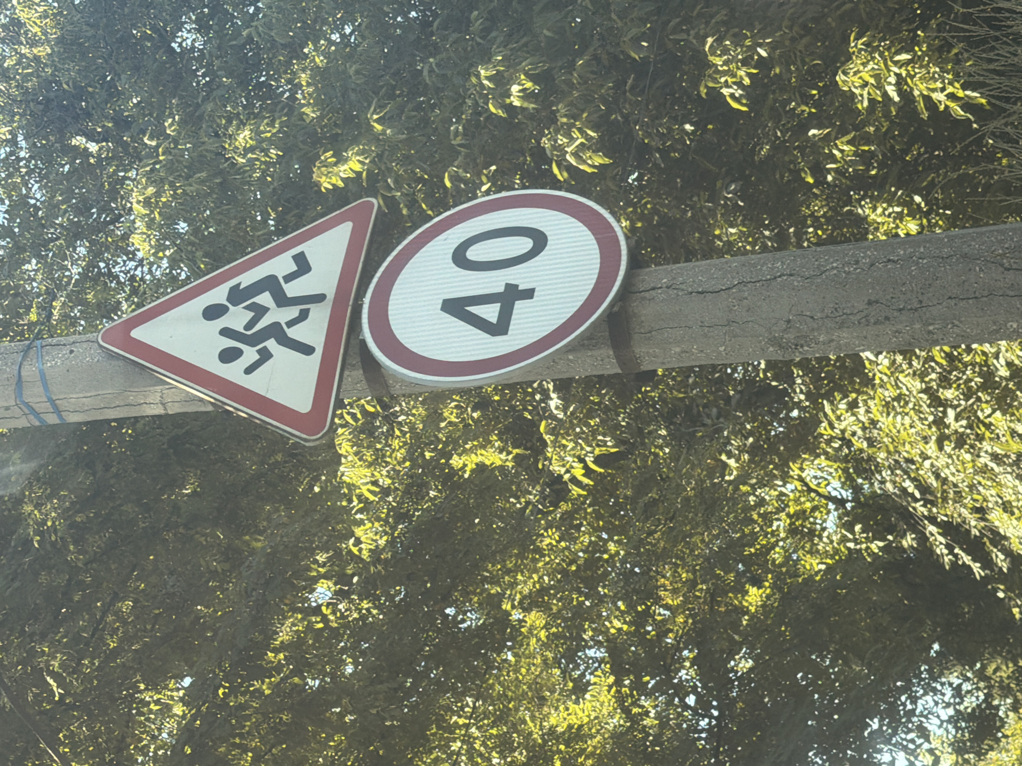 This media file shows two road signs attached to a concrete post. The sign on the left is a triangular warning sign with a red border and a white interior. It depicts a black silhouette of children running. The sign on the right is a circular sign with a red border and a white interior, containing horizontal stripes. The number "40" is prominently displayed in black text within the circle. The signs are positioned against a background of dense green foliage, illuminated by sunlight, suggesting an outdoor setting. The time of day appears to be daytime, with bright sunlight filtering through the leaves. The overall scene suggests a street or road environment, possibly near a school or park given the children warning sign. There is no clear indication of the specific location, weather, or emotions. The visible text on the signs are "40" and a pictogram of running children.