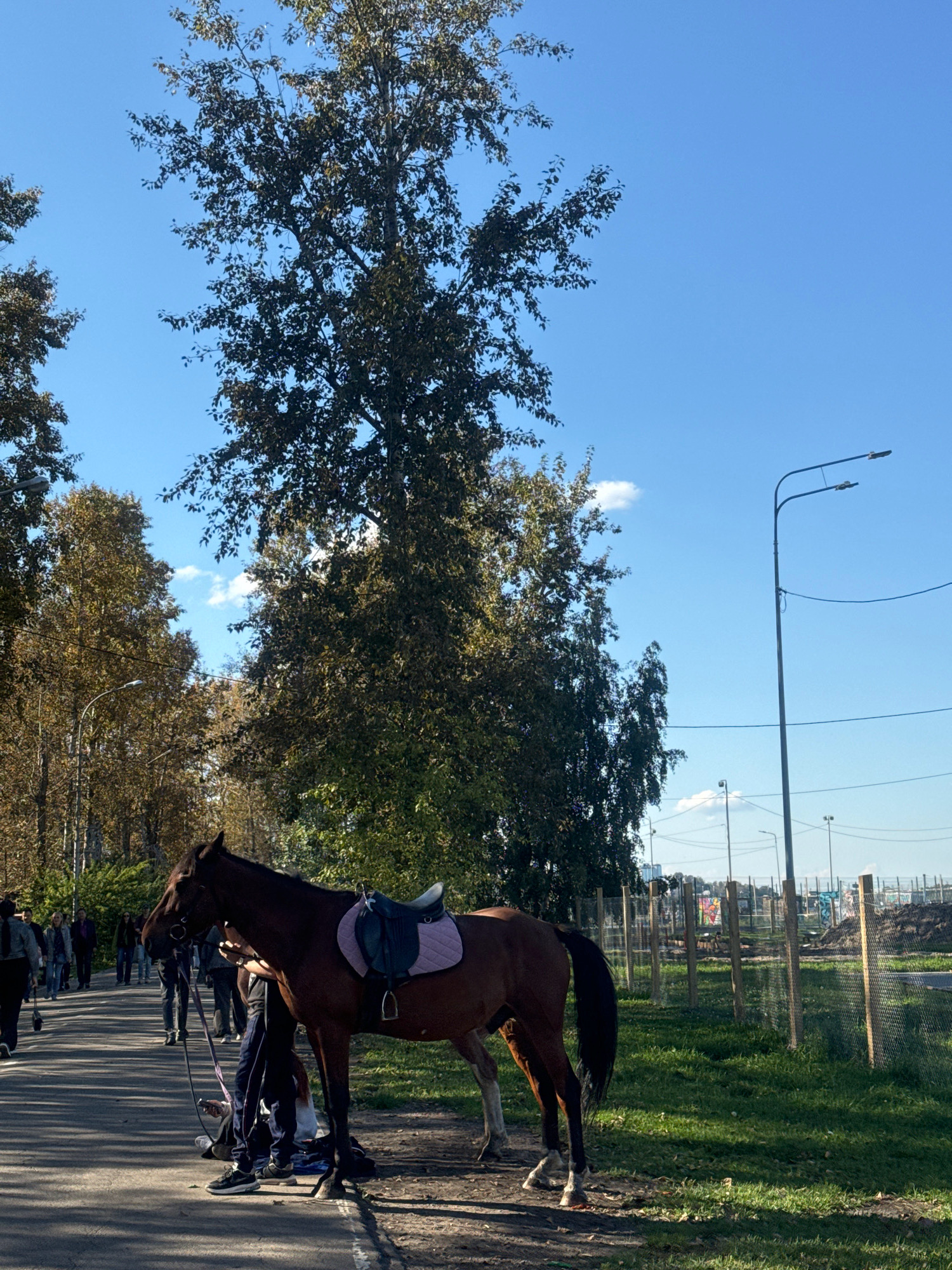An eye-level, full outdoor shot captures a brown horse tethered to a person standing on a paved path. The horse is equipped with a saddle, a purple pad, and reins. The path runs alongside a grassy area and is bordered by trees with autumnal foliage. In the background, several people are walking away from the camera, and further beyond, a chain-link fence encloses an area with construction activity. A streetlamp is visible on the right side of the image. The sky is clear and blue with a few scattered clouds. The scene appears to be set in a park or a recreational area within a city.