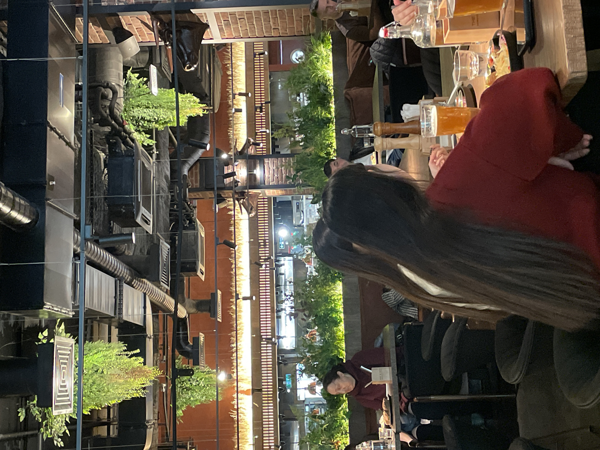 The image captures an indoor scene within an industrial-style restaurant or bar at night in Saint Petersburg, Russia. The setting features exposed brick walls, dark metal beams, and prominent ventilation ducts and pipes across the ceiling, contributing to a modern industrial aesthetic. Greenery, in the form of potted plants and horizontal planters with lush foliage, is integrated throughout the space, often illuminated by warm string lights and spotlights.
Several people are present, engaged in dining and socialising. In the foreground, the back of a person with long dark hair is visible, seated at a table. Beside them, another person wearing a red or maroon top is also seated, with hands resting on the table. On the table, several glasses filled with an amber-colored beverage, possibly beer, are present, alongside glass bottles. Further into the background, other patrons are seated at various tables, some partially obscured. One individual is seen holding a glass, and another is looking down at their table. The general atmosphere appears relaxed and casual.
Notable details include the various industrial light fixtures, the extensive metal framework, and what appears to be a decorative dark sculpture (possibly an animal head) mounted on a wall in the upper right. The lighting indicates it is evening or night. No clearly legible text is visible in the image.