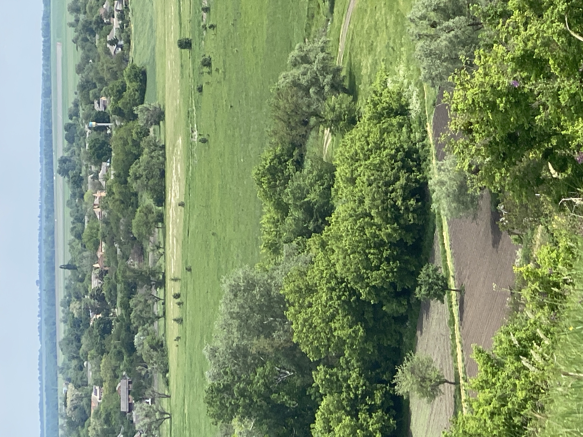 An elevated, landscape-oriented view shows Ustyvytsia, Ukraine. The horizon is visible in the distance, with a thin strip of sky along the top. A town sits along the left side of the image, composed of buildings with various roofs and dense trees. A water tower is present in the town. A large, green field extends to the right of the town. A patch of plowed soil runs along the right edge, separated from the field by trees. Trees are scattered throughout the landscape.