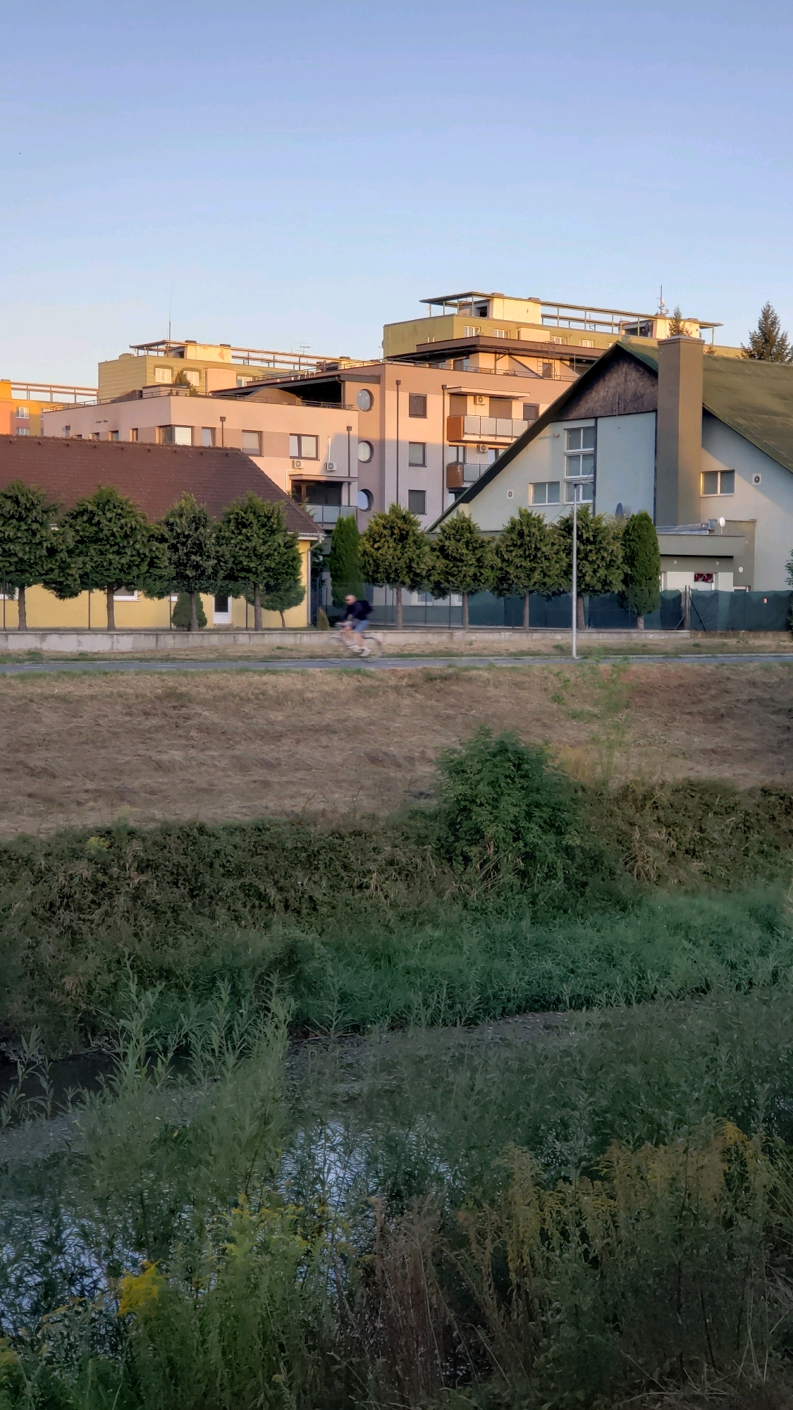 This is a medium shot photograph taken from a slightly elevated perspective, looking towards a street and buildings. In the foreground, a body of water is visible, surrounded by lush green vegetation and reeds. A cyclist is riding on a paved path that runs between a dry, grassy embankment and a row of manicured trees. Behind the trees are several buildings, including a yellow house with a brown roof, and a series of modern apartment buildings with balconies and rounded architectural features. The sky is clear and a pale blue, suggesting it is late afternoon or early evening. The scene appears to be in a suburban or semi-urban area of Prešov, Slovakia, possibly near a recreational area.