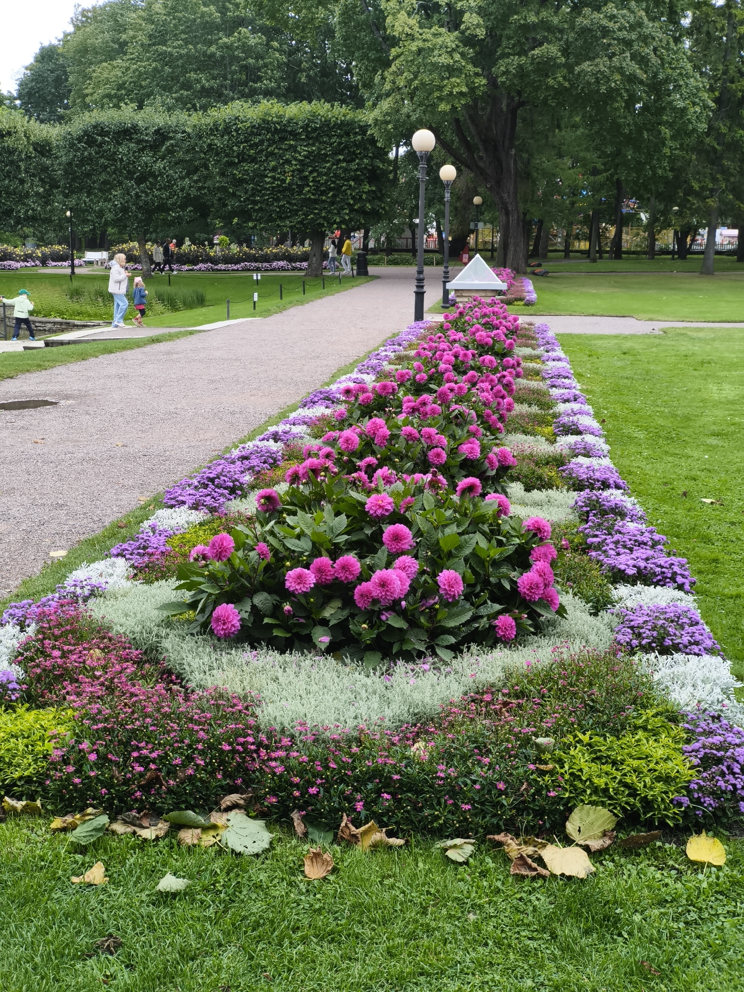 The image depicts a well-maintained park in Tallinn, Estonia, likely Kadriorg Park. A gravel pathway curves from the lower left to the middle right of the frame. Bordering the pathway is an elaborately designed flower bed featuring multiple rows of colorful flowers. The most prominent flowers are large, vibrant pink dahlias in the foreground, followed by layers of smaller pink, purple, and white flowers, with a silvery-green foliage plant interspersed. Beyond the flower beds, a lush green lawn stretches into the background, dotted with trees and park lamps. In the upper left quadrant of the image, two adults and two children are walking near a small water feature and a low stone wall. In the middle ground, several other individuals are seen strolling along the pathway or in the grassy areas. The overall scene suggests a serene and picturesque public space on a pleasant day.